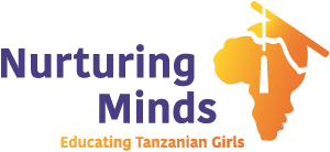 Logo of a company with the text 'PPD' and a stylized orange-yellow sun behind a purple mountain peak.