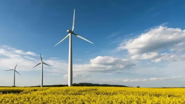 Three wind turbines standing in a field of yellow flowers under a blue sky with clouds.