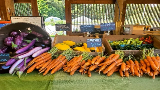 Donate to Mobile Farmers Market