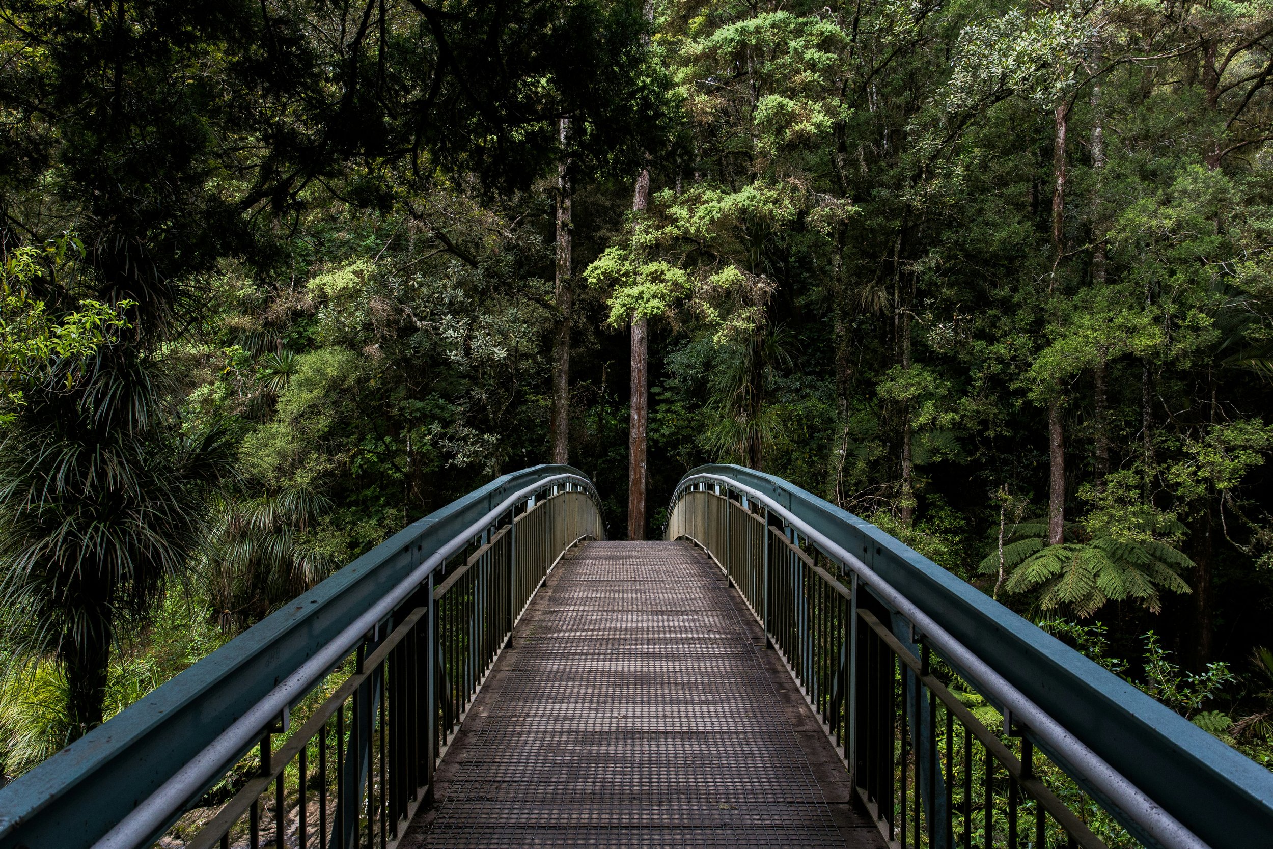 Bridge opening into a woods