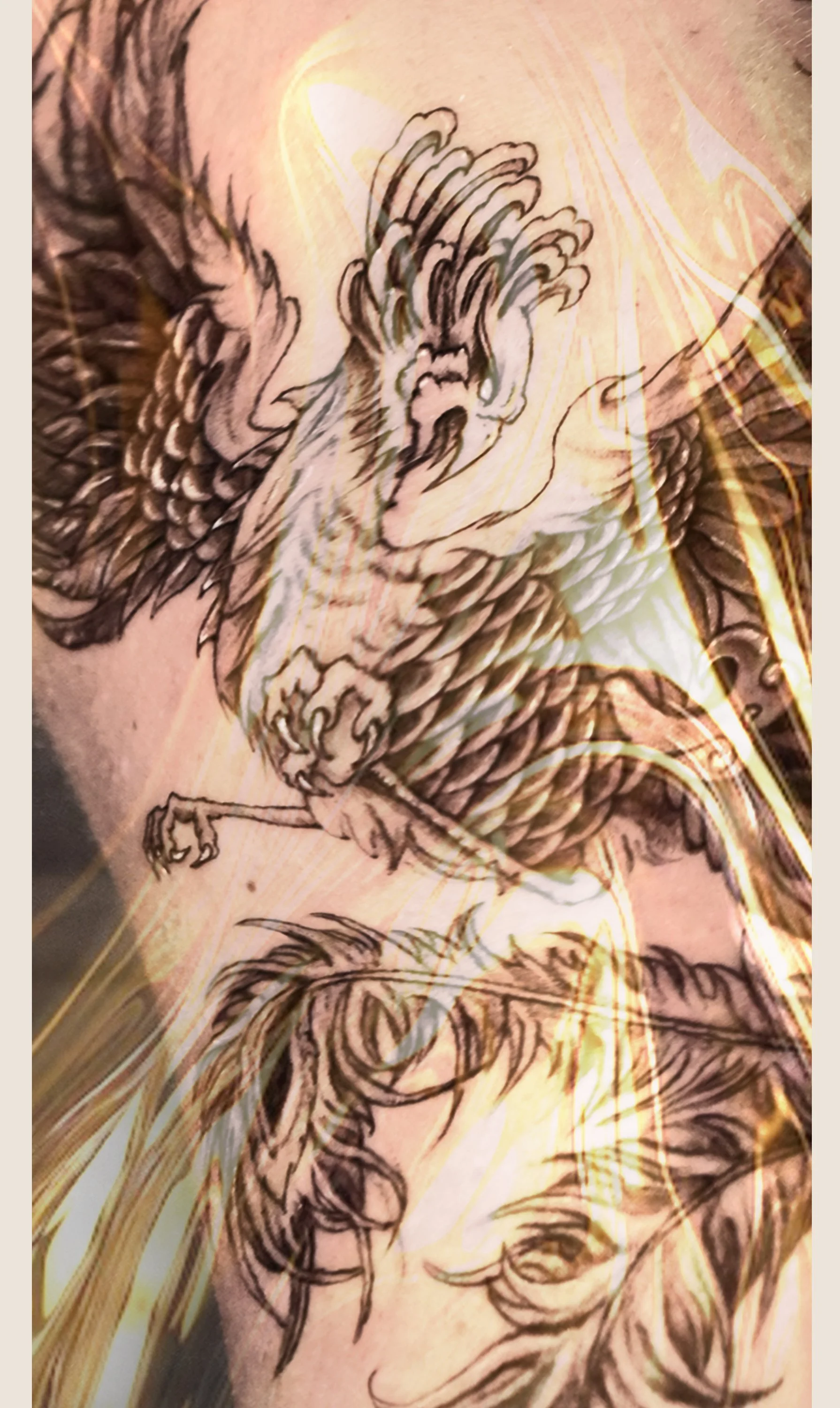 BoredInckClub_pheonix3.jpg