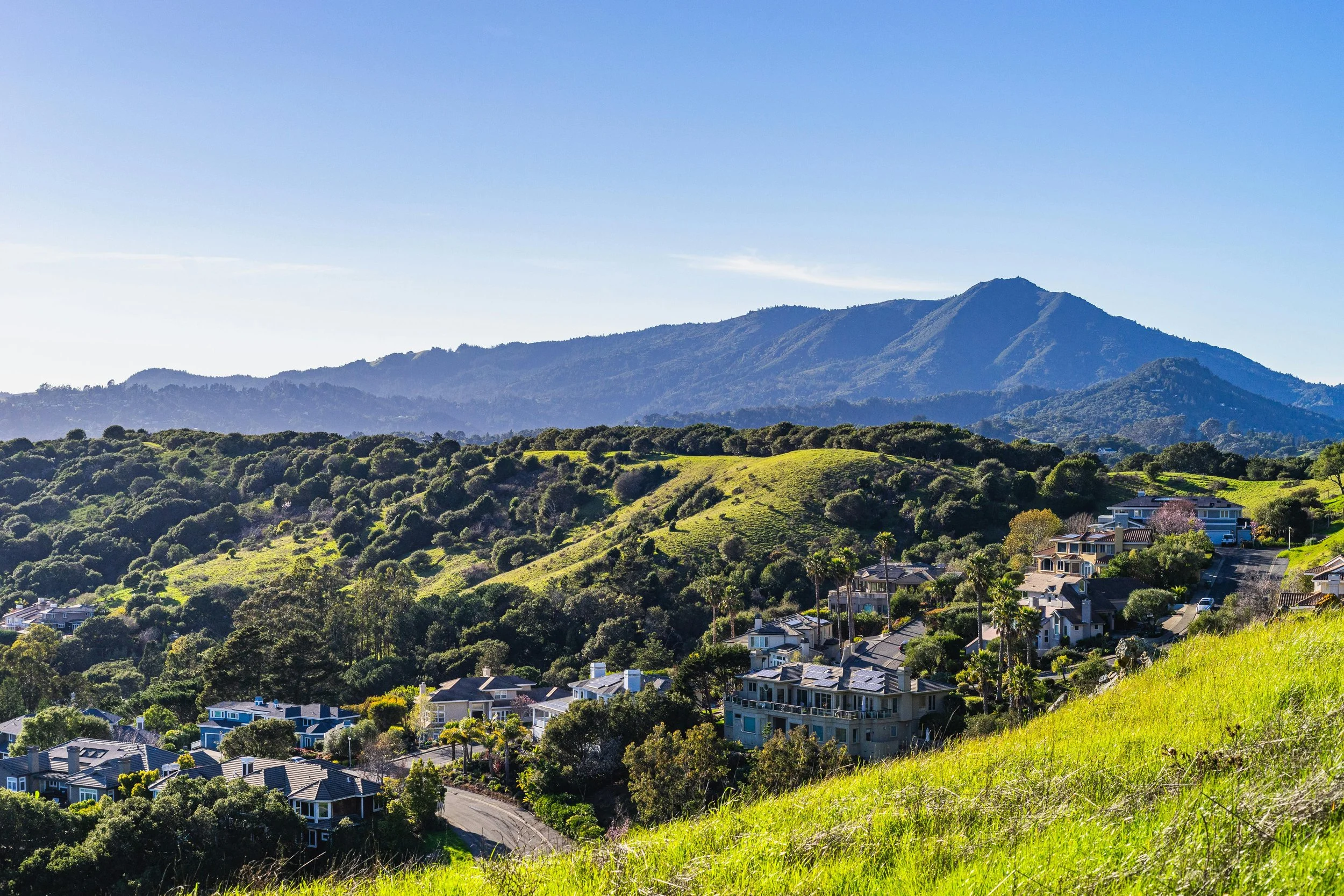 Mill Valley Scenic-robert so-Pexels.jpg
