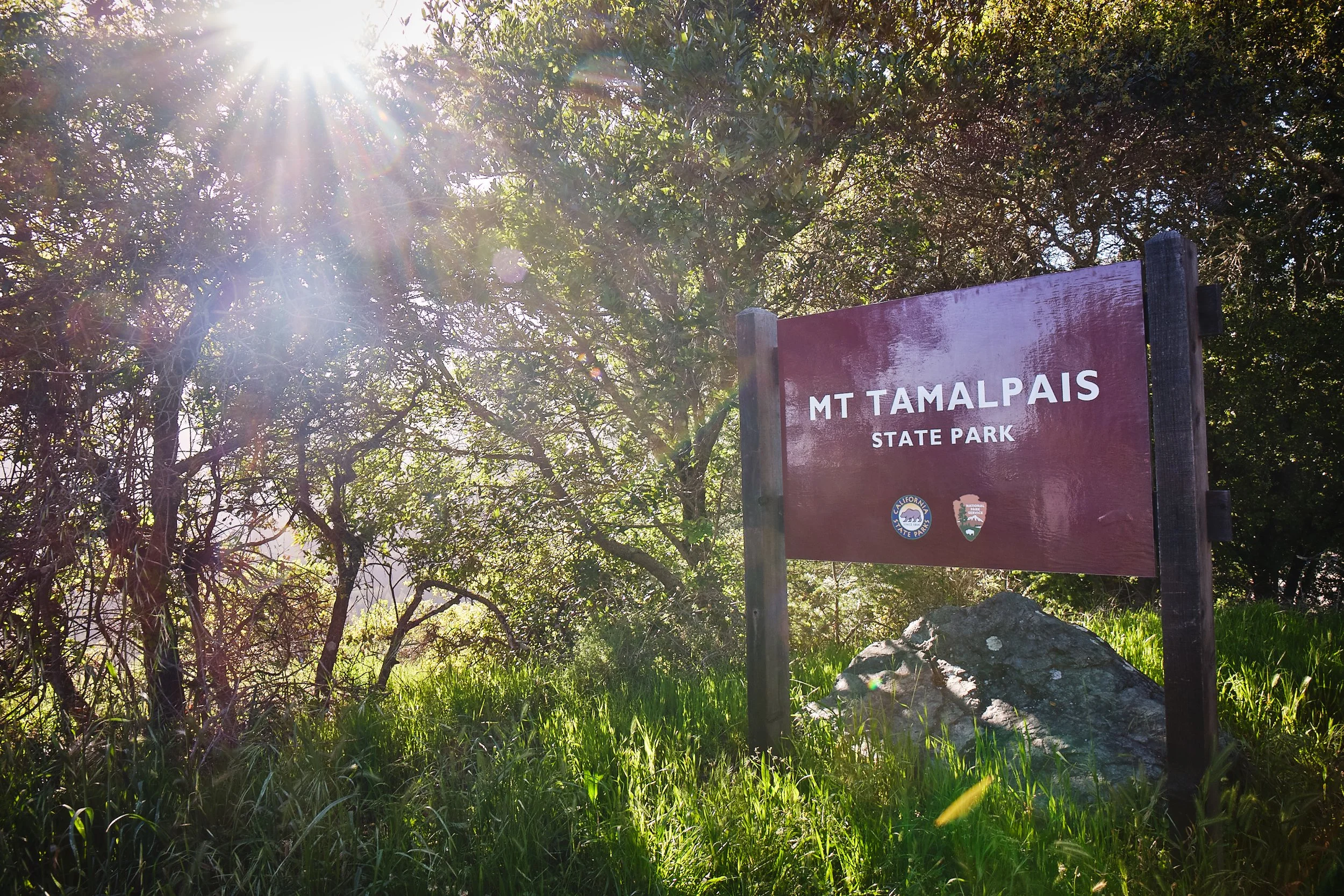 Mill Valley Mount Tamalpais 2 - Compass Brandfolder.jpg