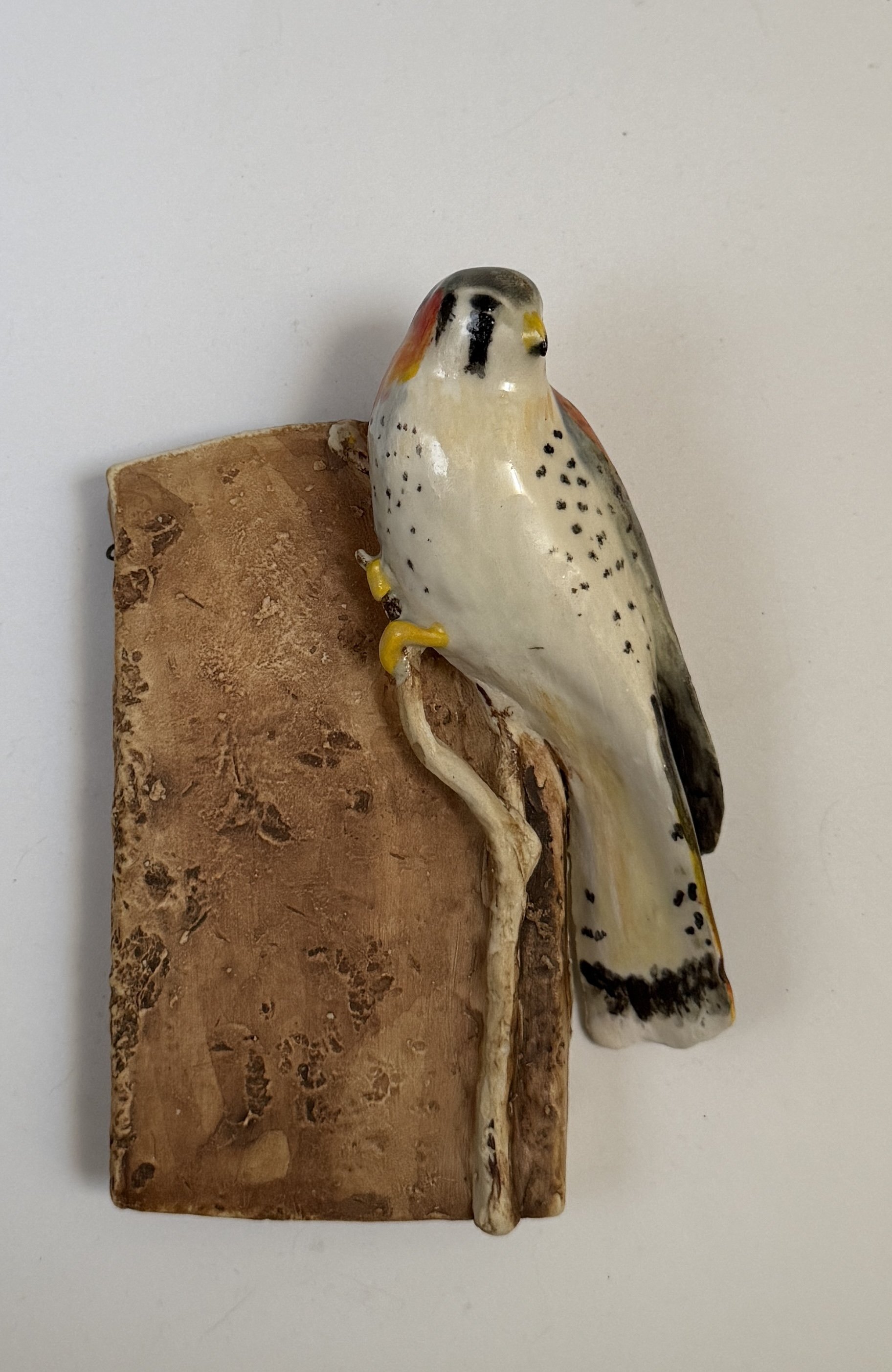 American Kestrel on wall plaque