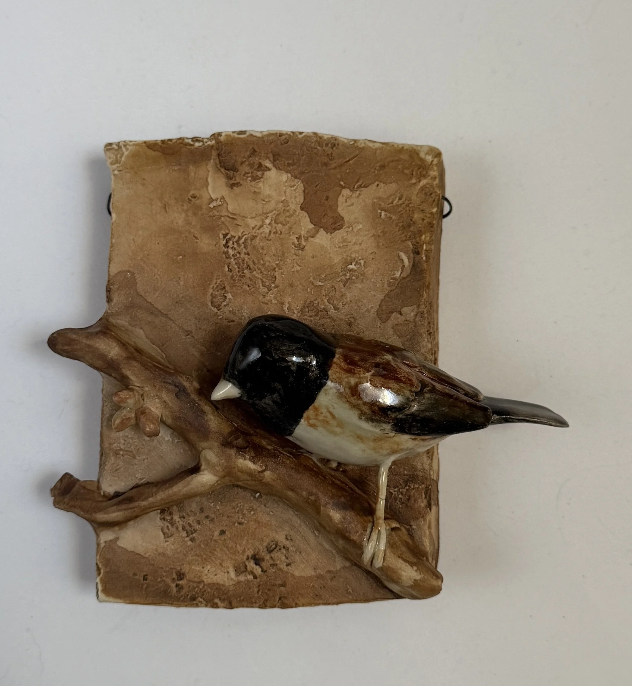 Oregon Dark-eyed Junco on wall plaque