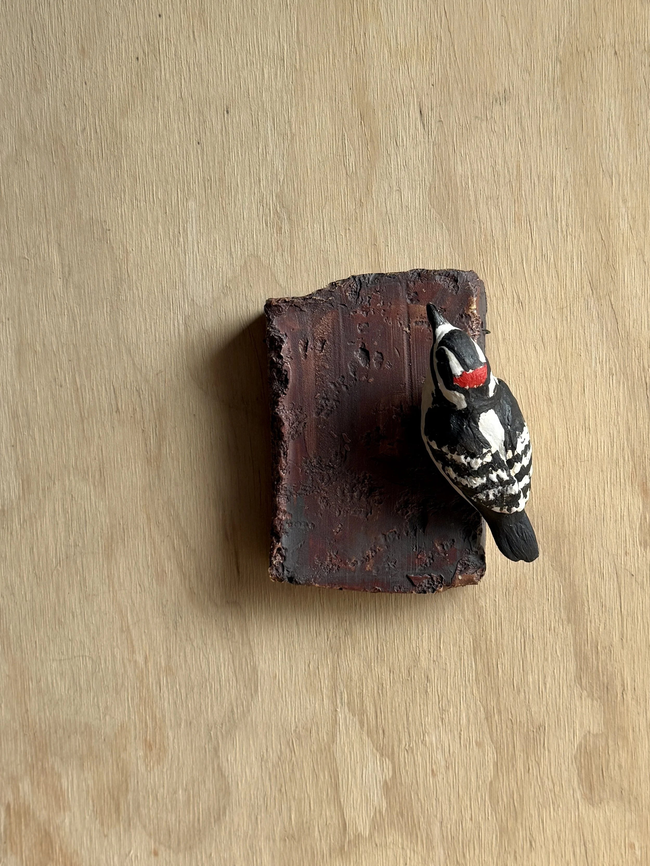 Downy Woodpecker on wall plaque