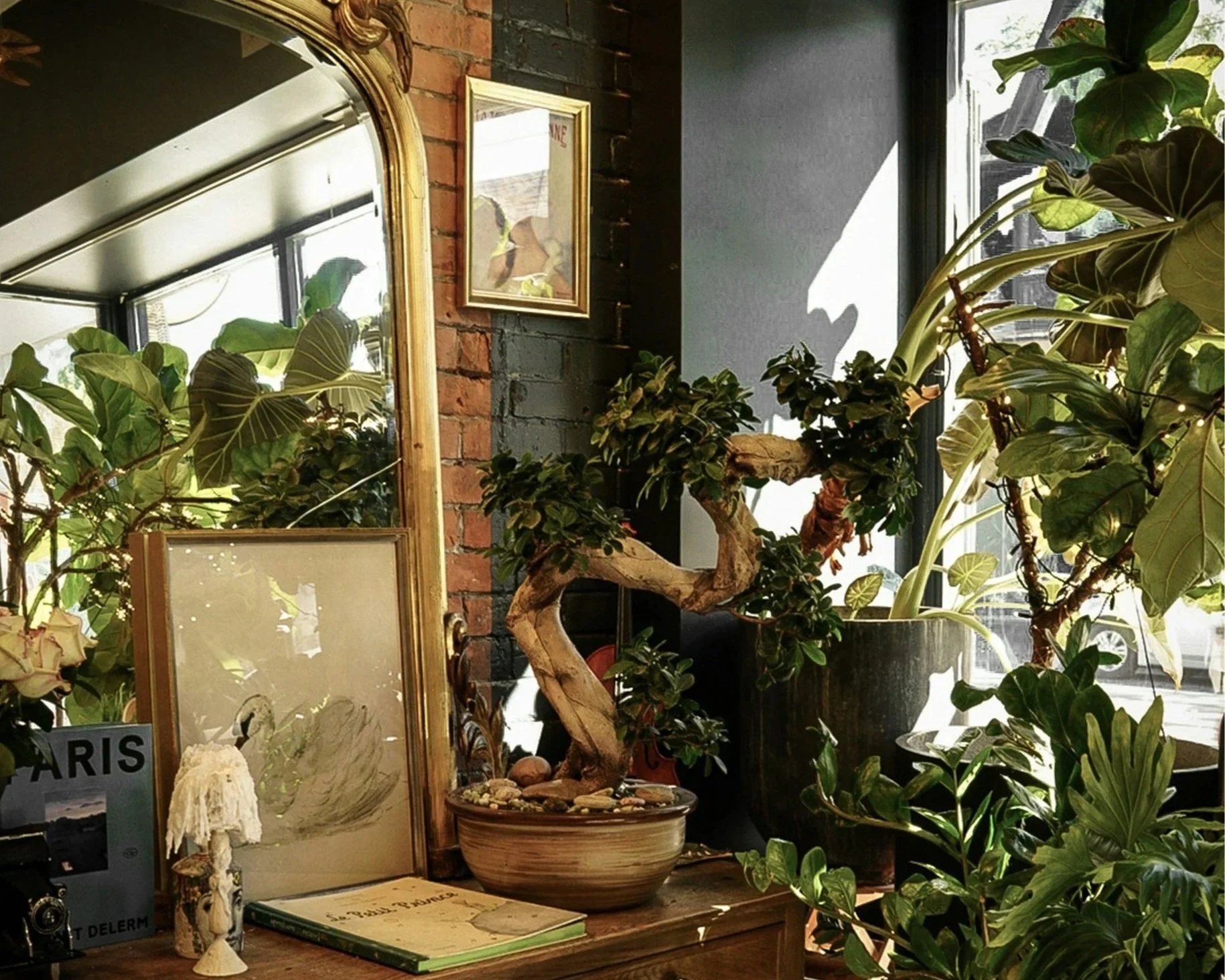 How to Match Indoor Plants With Your Home’s Design Era