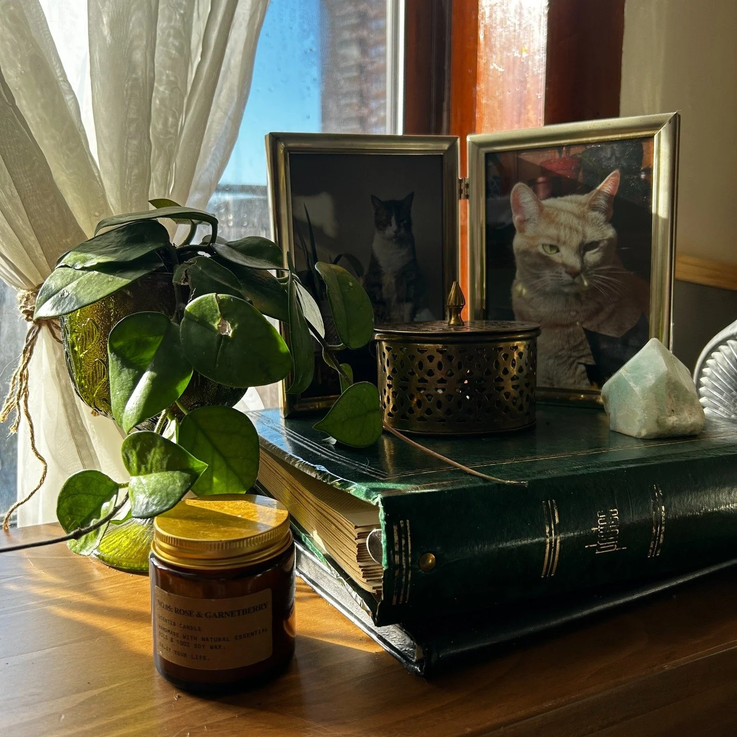 ✨ COMING SOON TO OKC ✨

Sprout &amp; Sage Vintage Co. is officially headed south! Soon you&rsquo;ll be able to shop our whimsical mix of brass, glass, and soulful vintage treasures right here in Oklahoma City.

Expect curated finds, one-of-a-kind pie