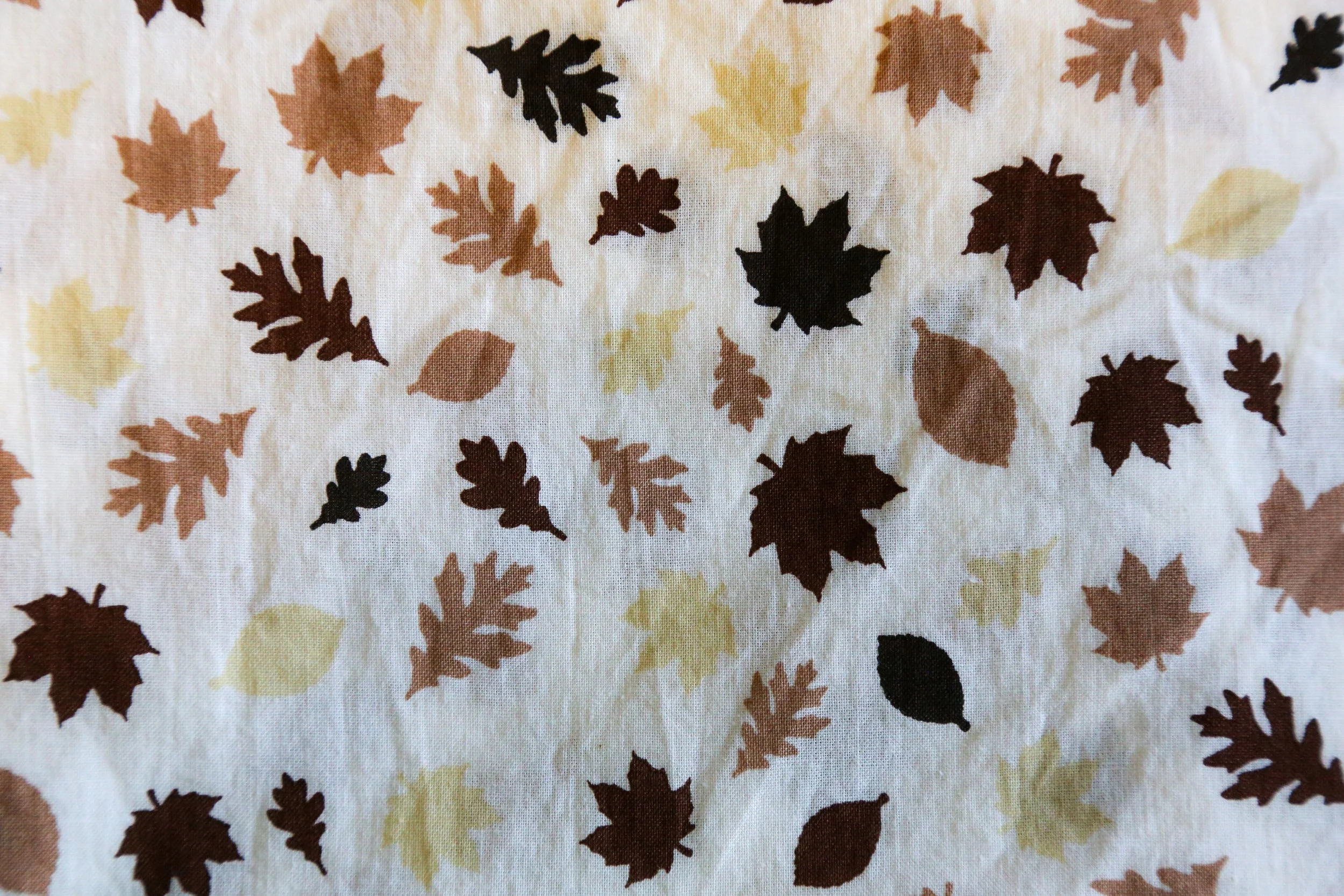Fall Leaves Cream