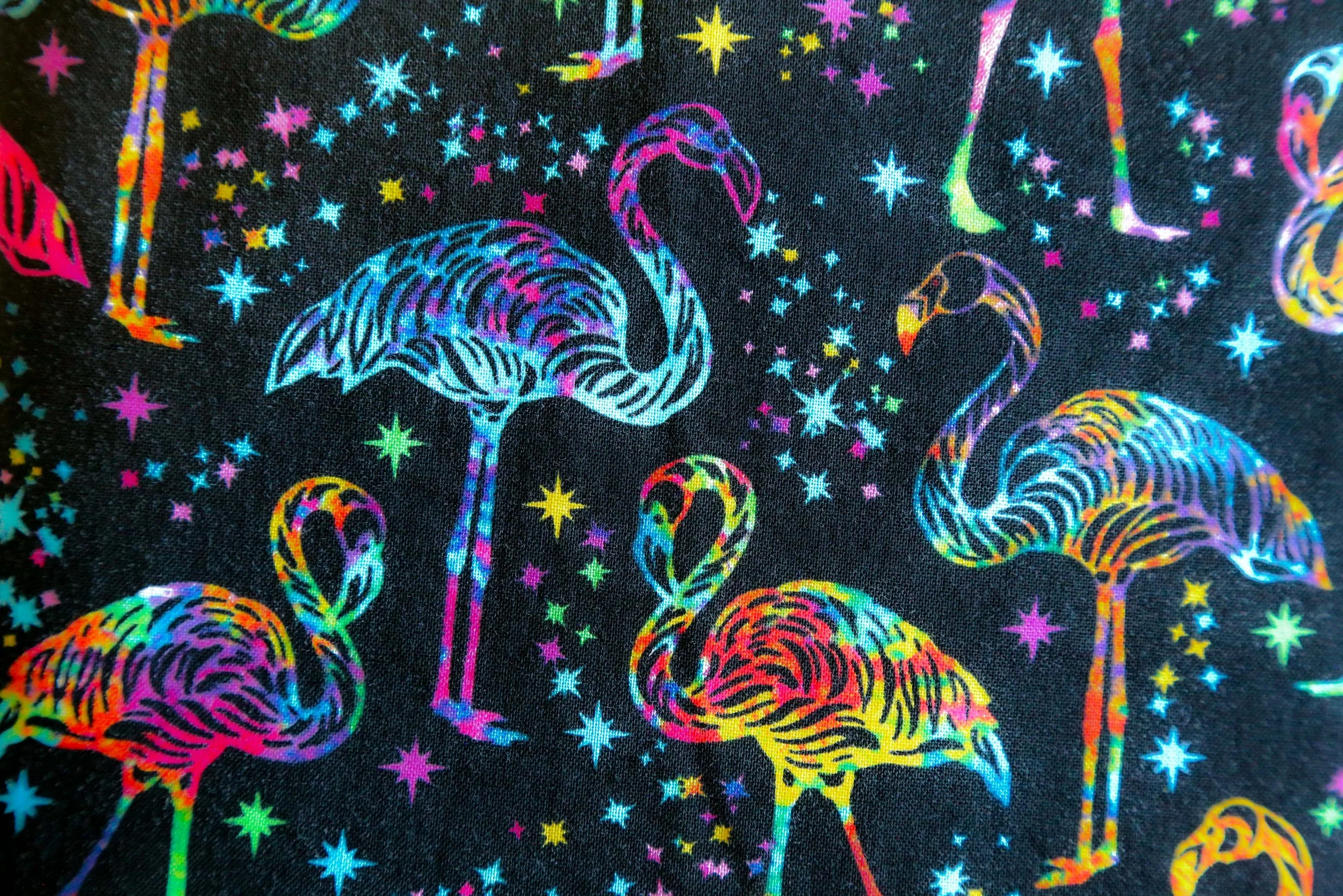 Vibrant Flamingo
