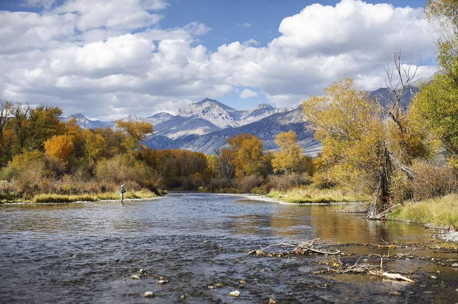 17515994043237803637701268207306 (2).jpg