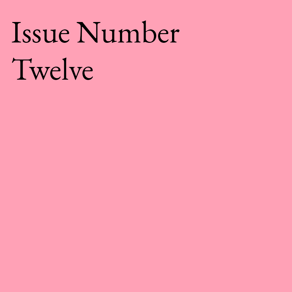 issue12-shop.png
