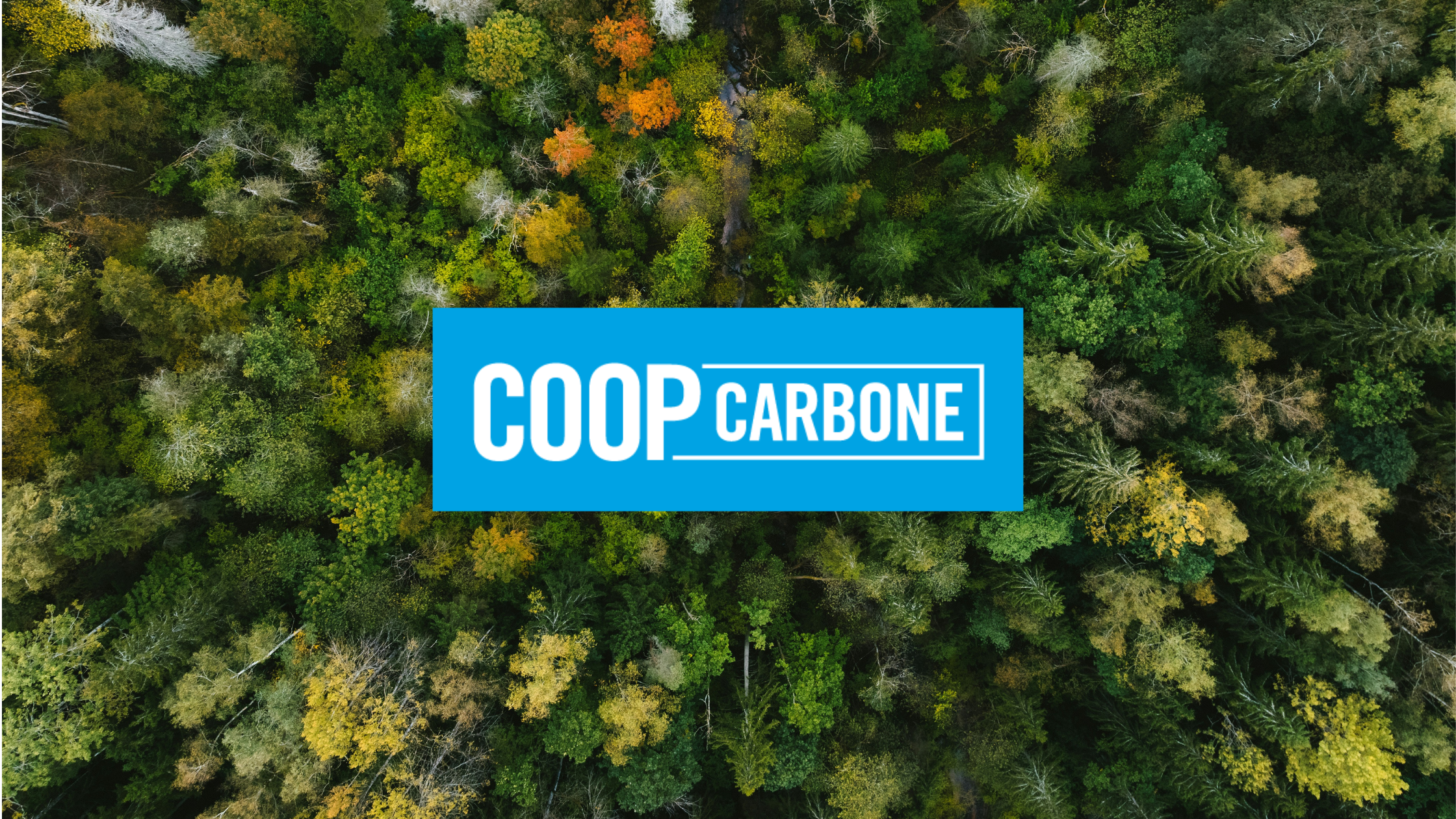 Coop Carbone : Réconcilier coopération et expertise