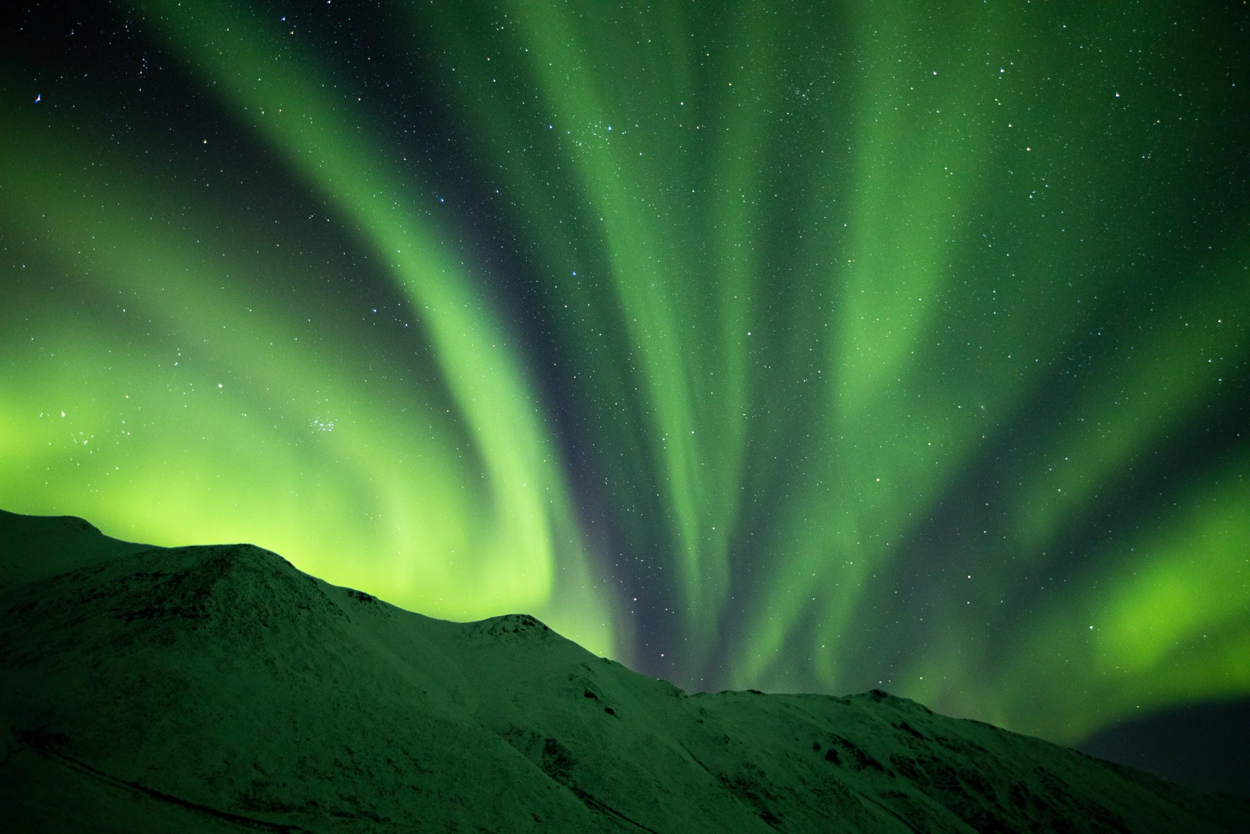 Northern Lights ANWR.JPG