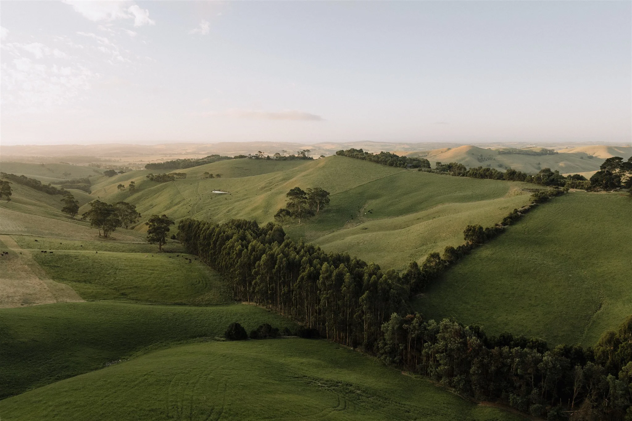 RachelSebastian_Wedding_758 (1).jpg