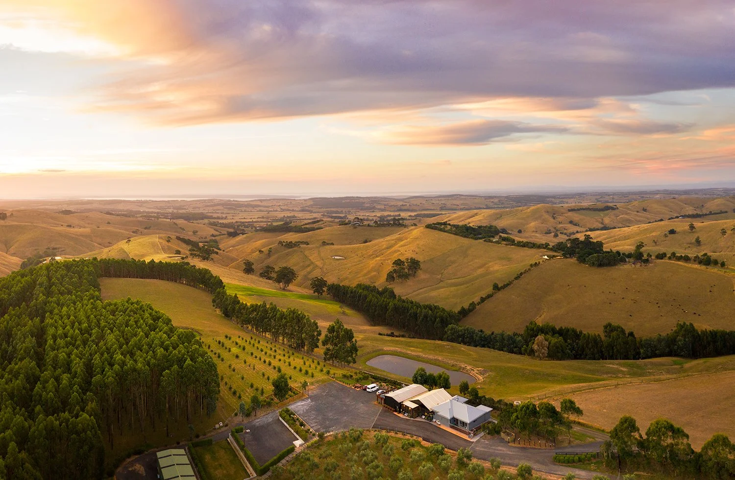 Winery Style weddings at the grove.jpg