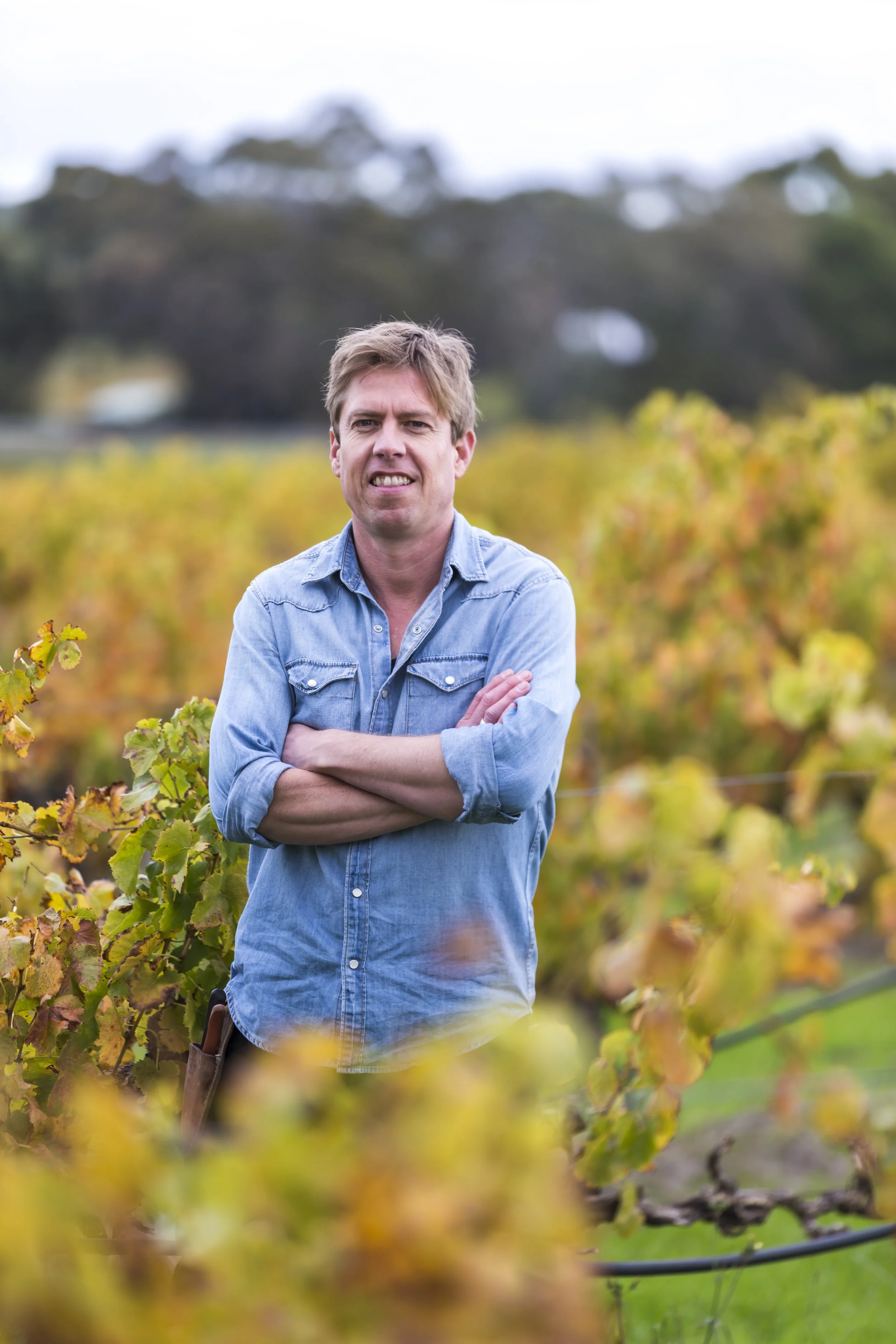 A man standing with arms crossed in a vineyard with yellow and green leaves and blurred trees in the background.