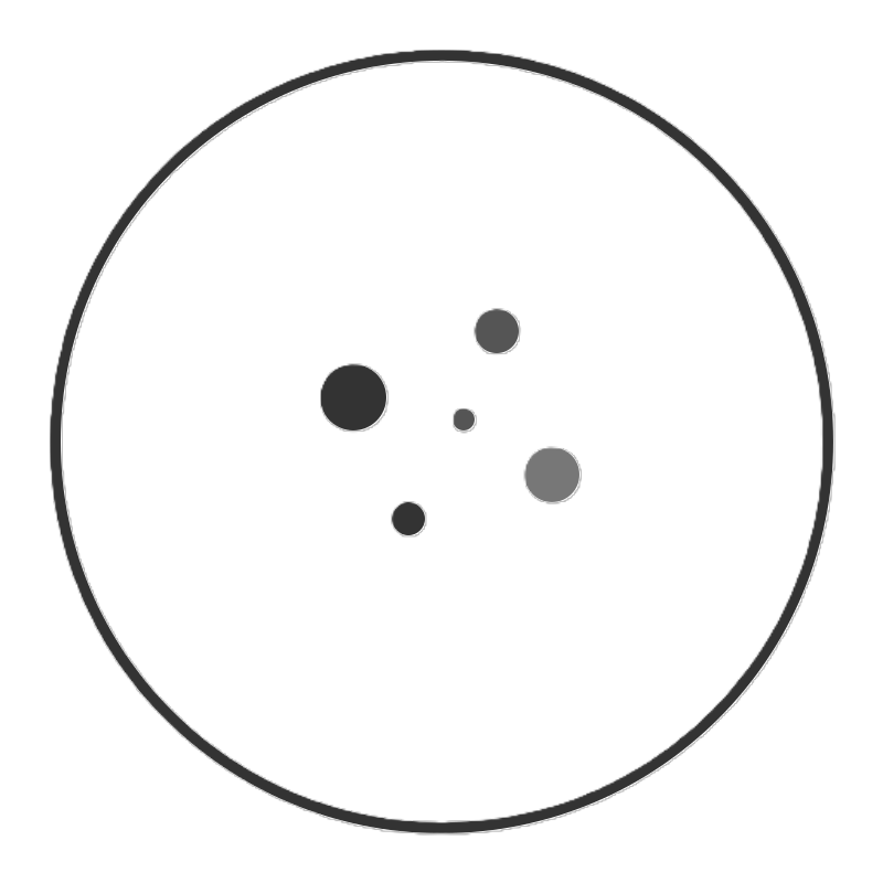 A black and white circle with smaller black and gray dots inside, resembling a simplified atom or nucleus model.