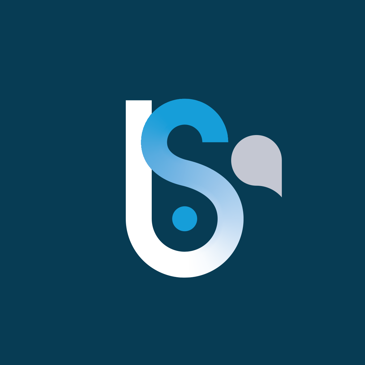 Susan Blain Consulting | Executive Branding &amp; Communication Strategy