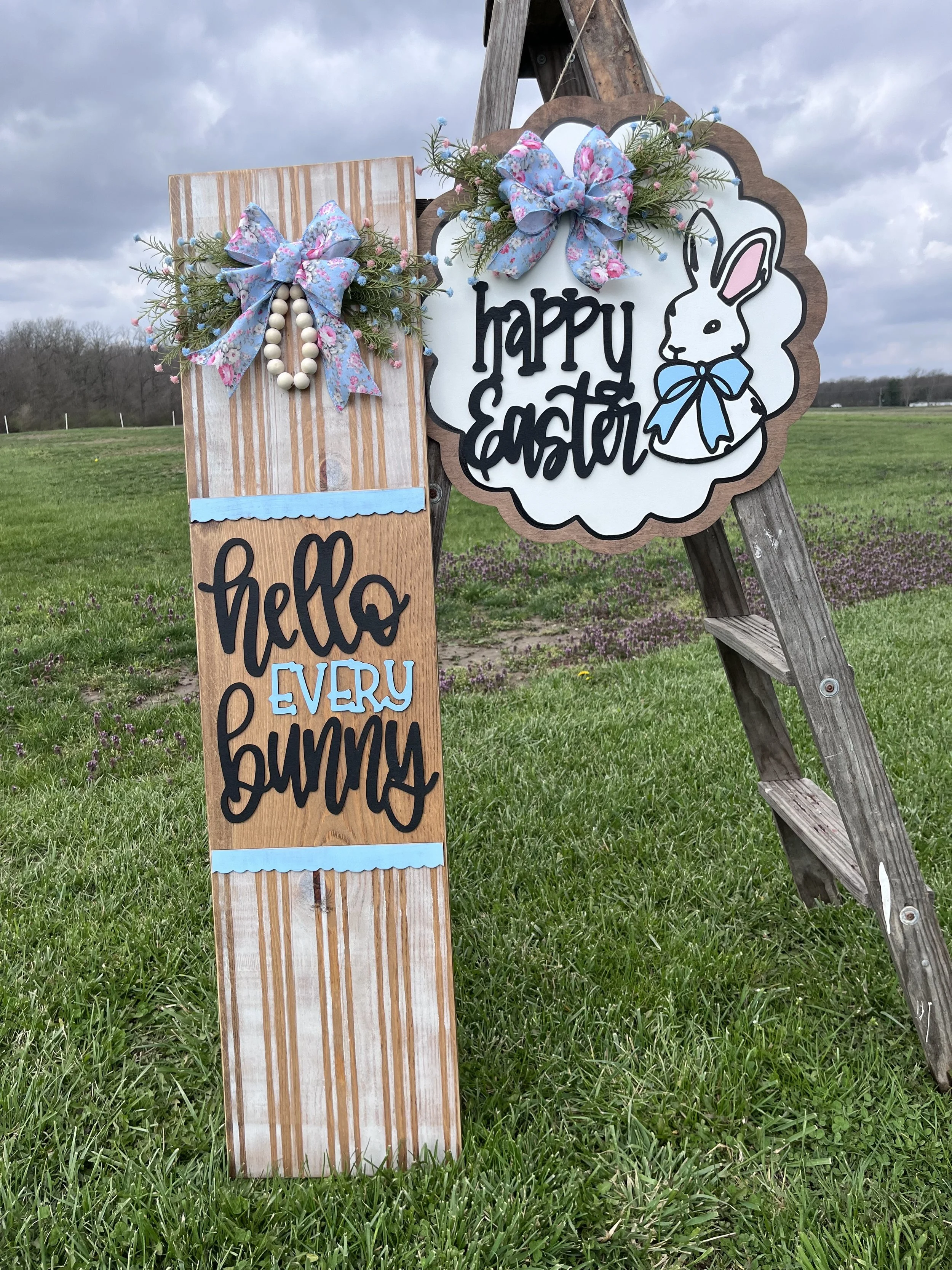 hello every bunny