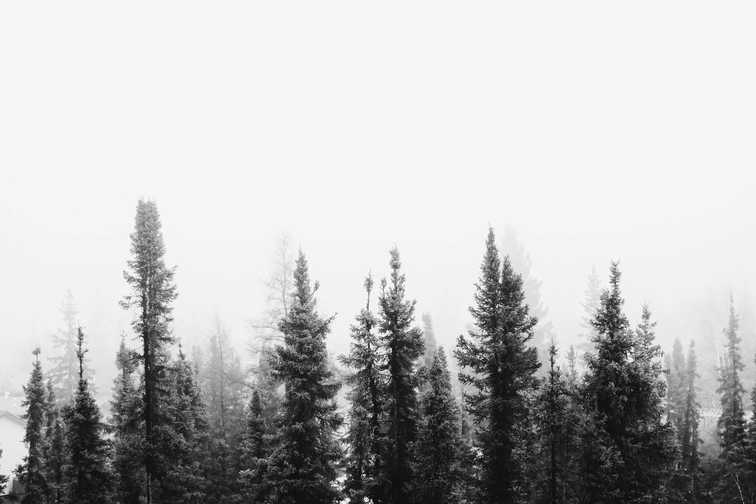 Workstyle Intelligence Report - CVF Test - Leadership Style | The Eleventh House