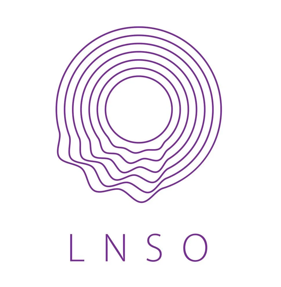 Latvian National Symphony Orchestra