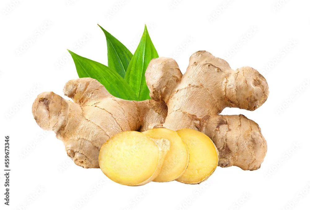 Ginger