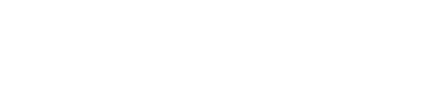 theBinBros.co