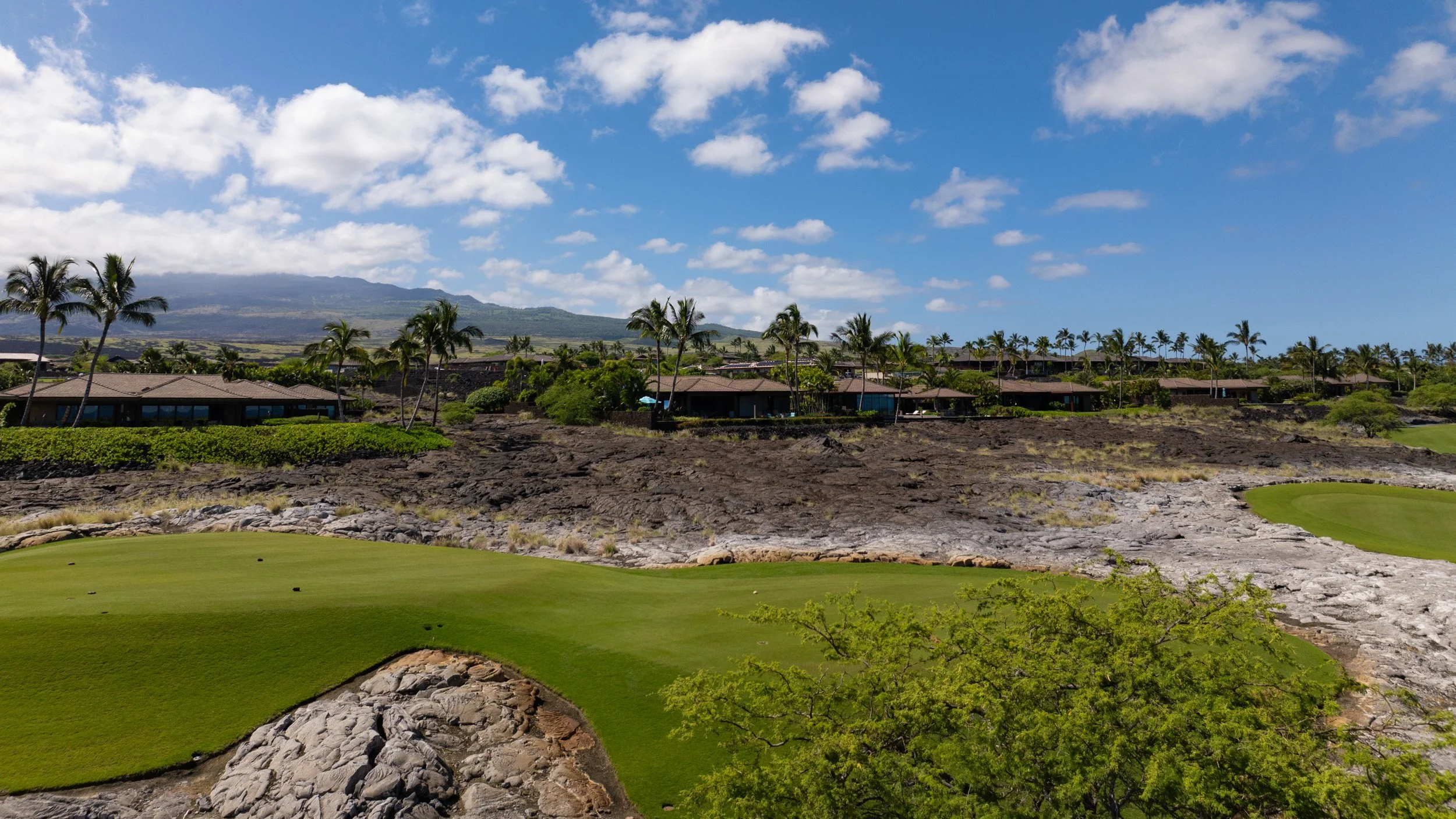 4 bedroom 5 bath Hualalai