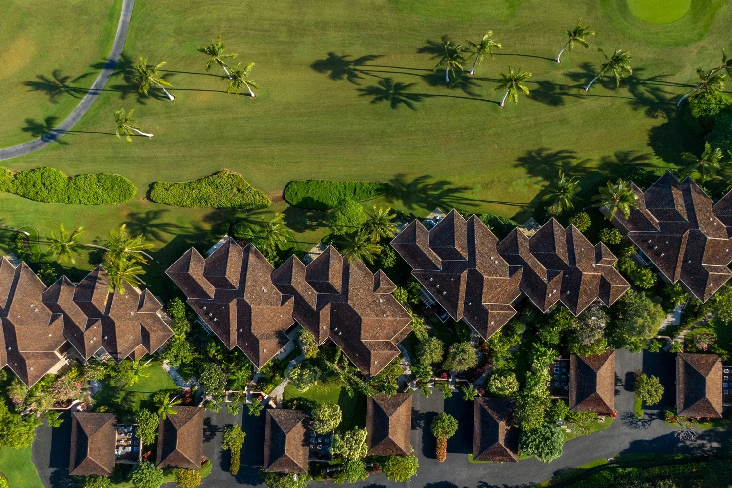 DJI_0595-Edit.webp