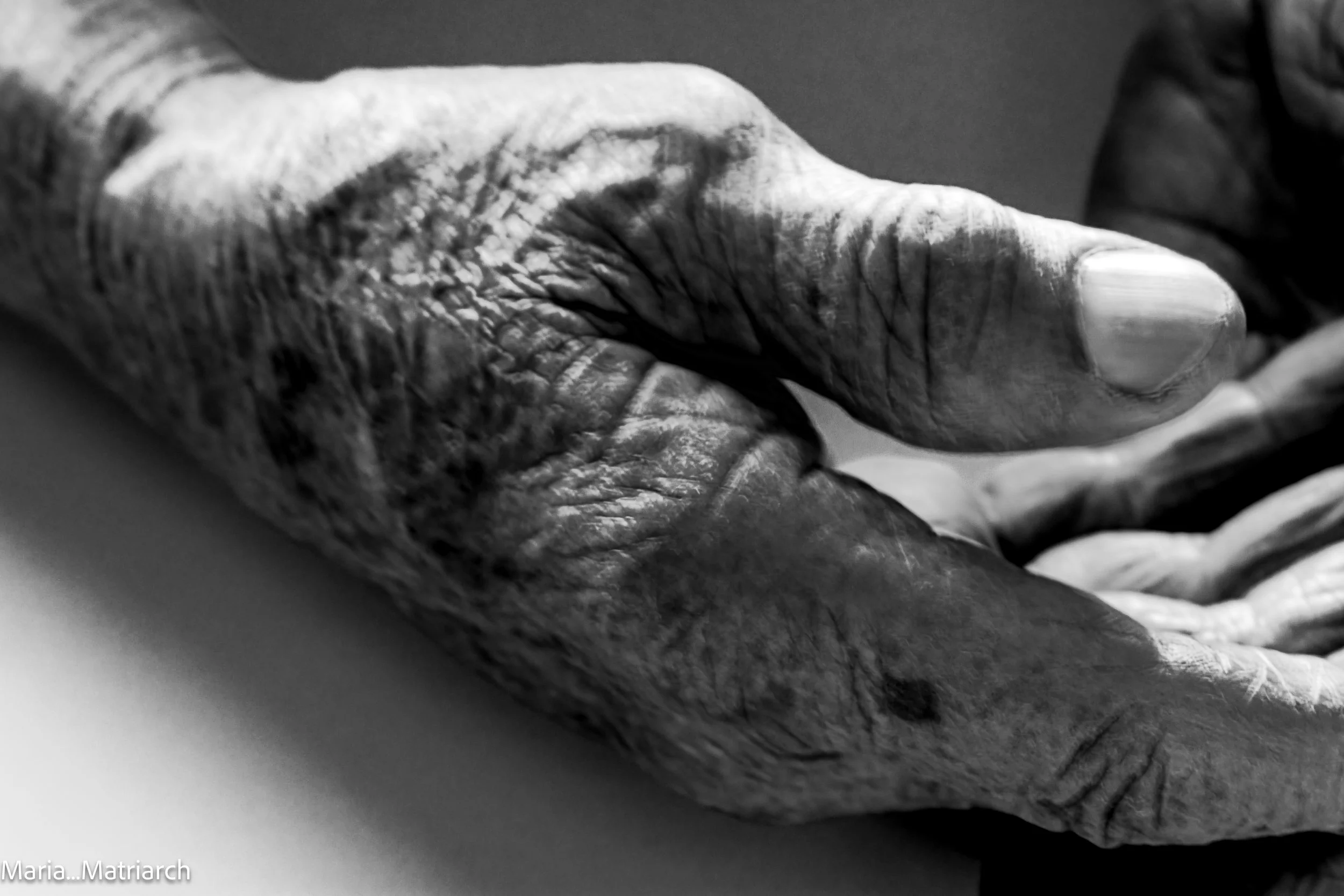 Hand Project samples-28.jpg