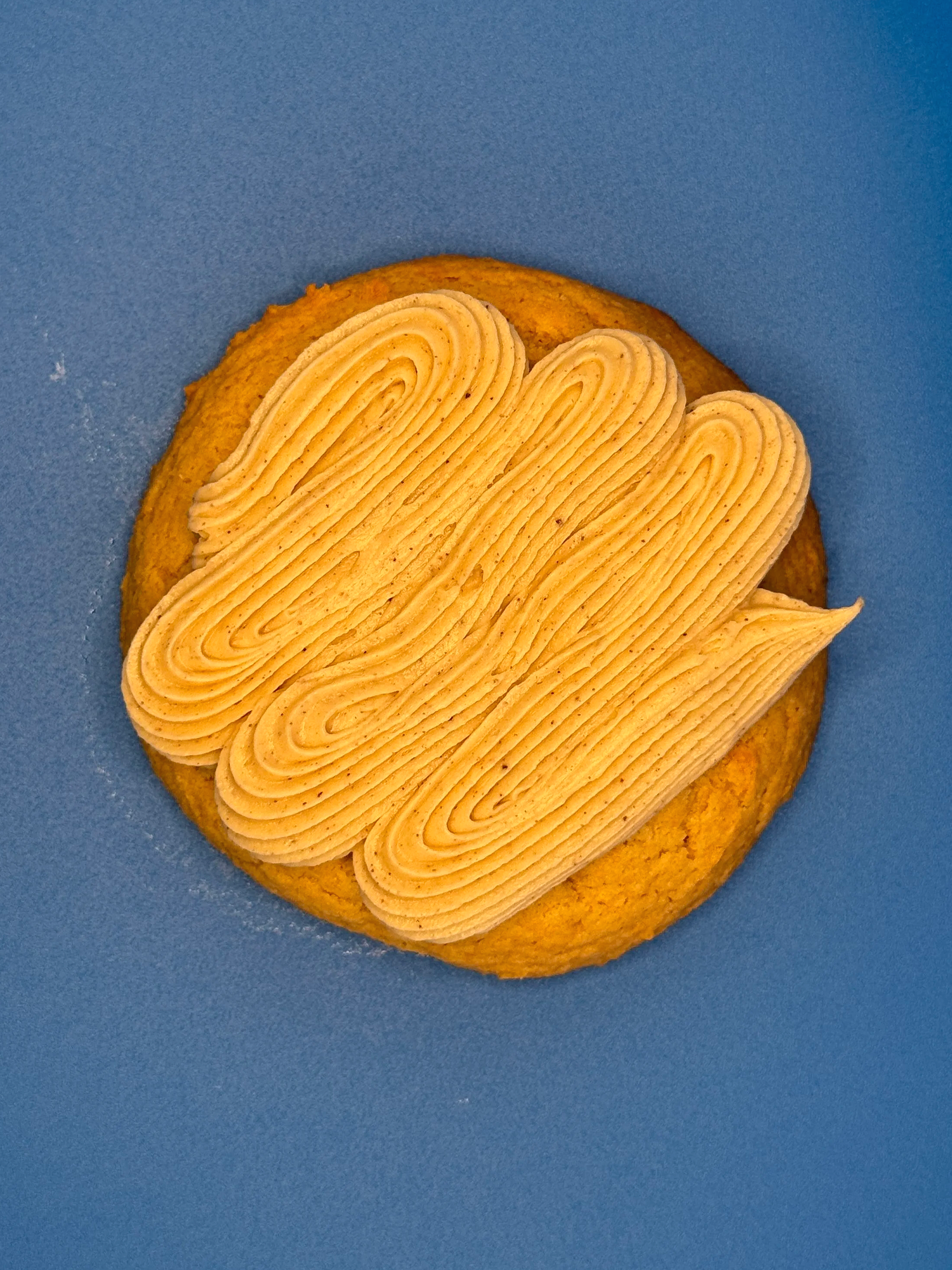 IMG_9603%5B1%5D.png