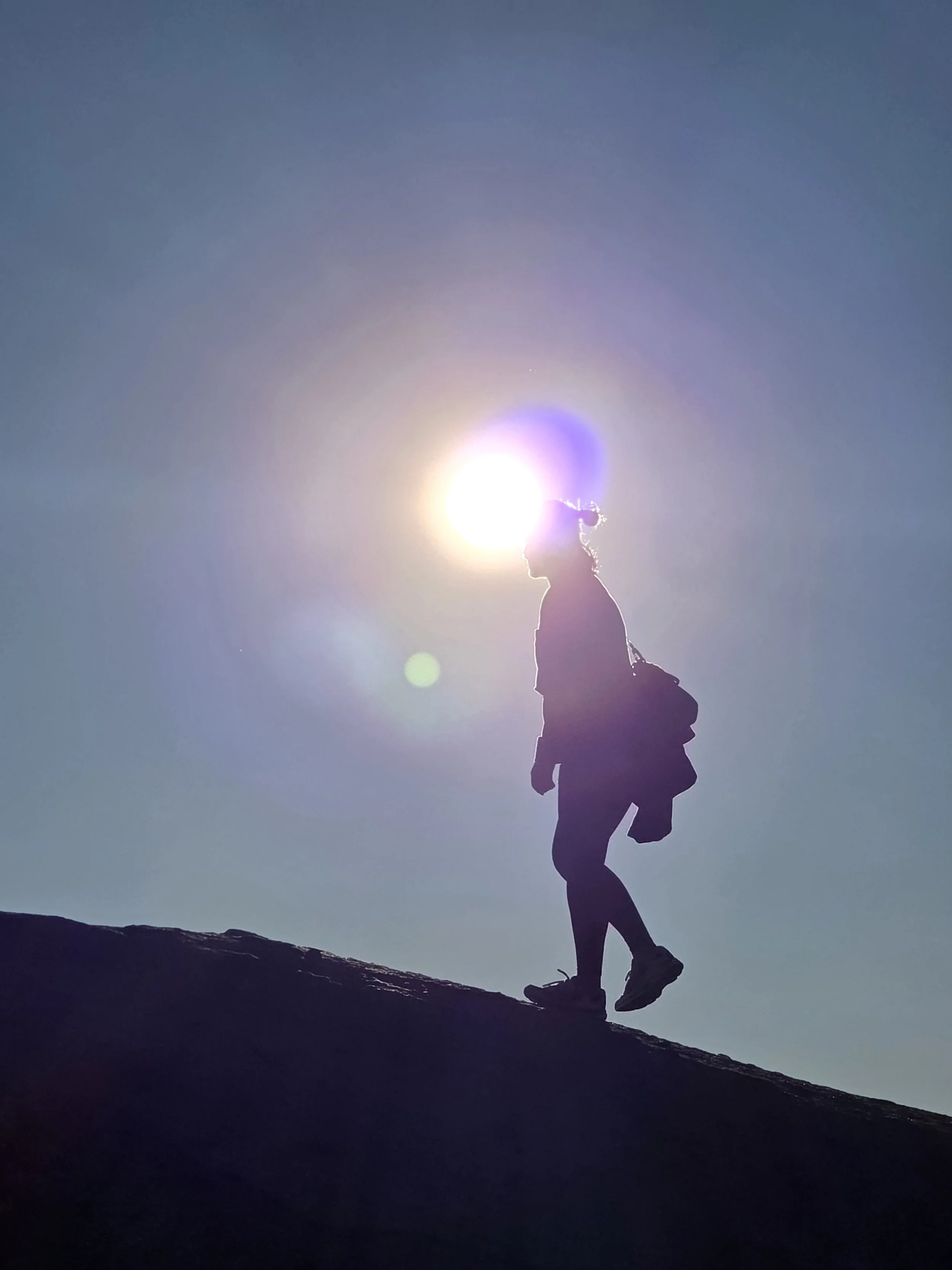 Emotional Intelligence: The Art of Staying Centered in a Chaotic World