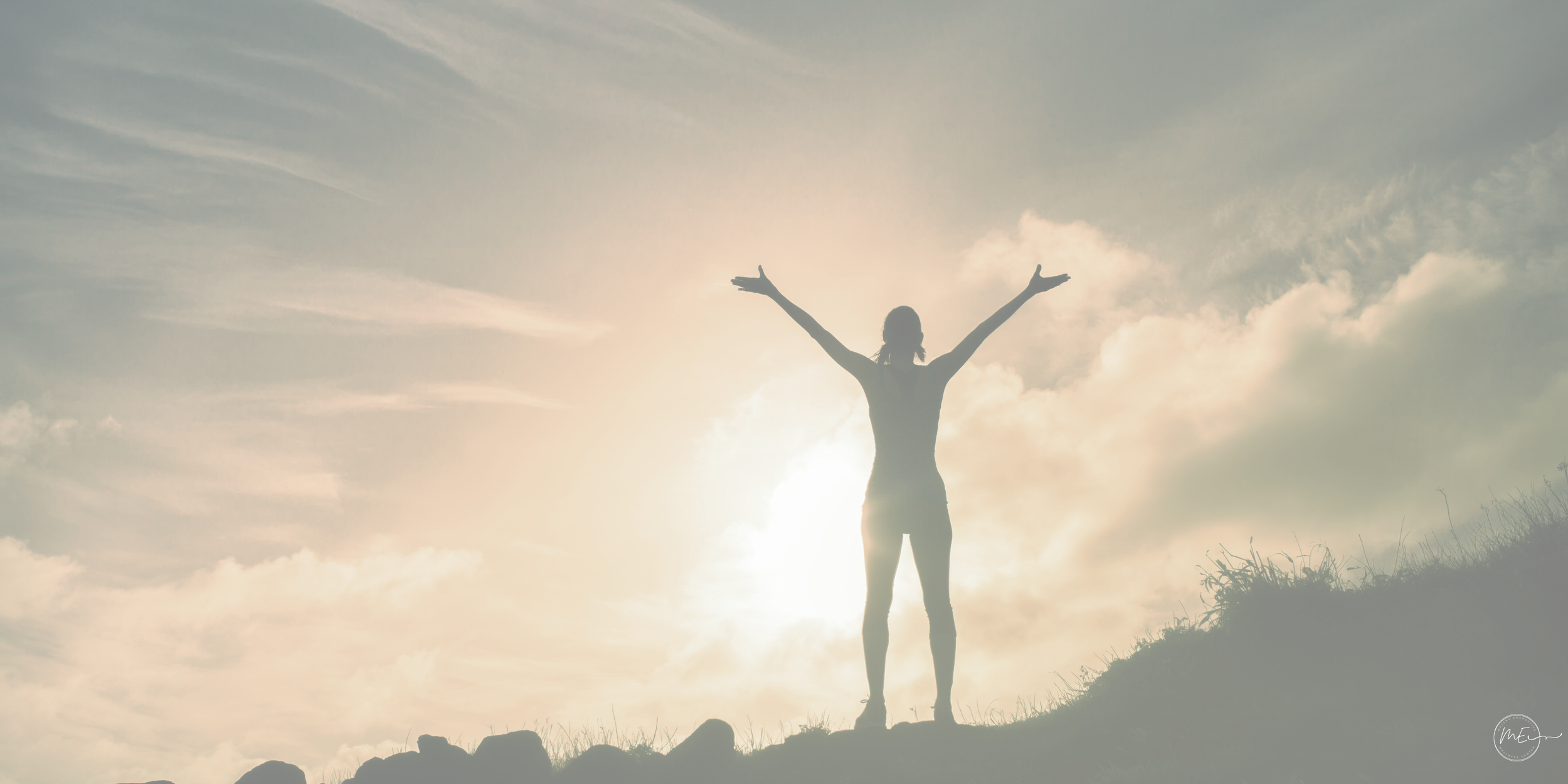 Emotional Intelligence