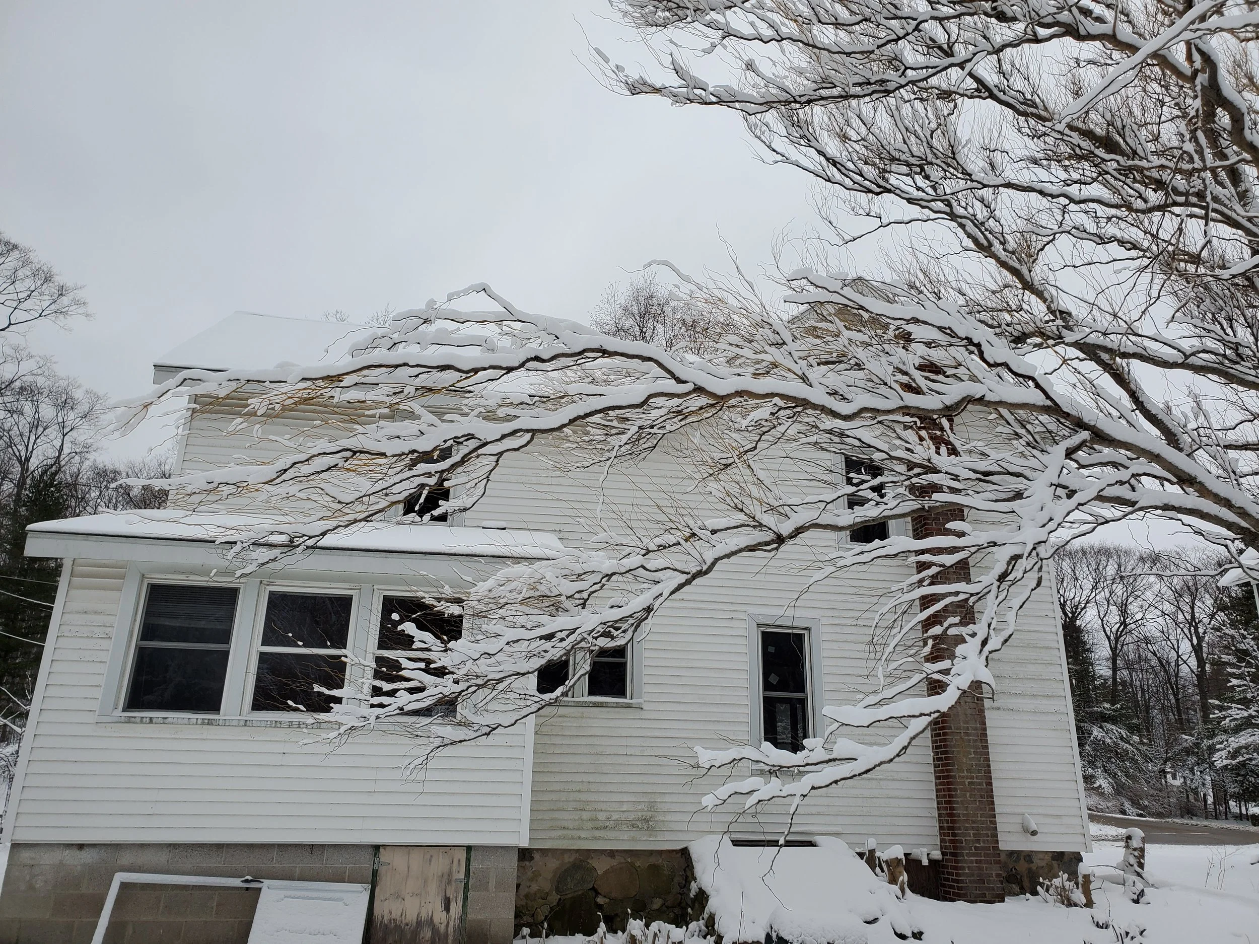 1 Back of house before.jpg
