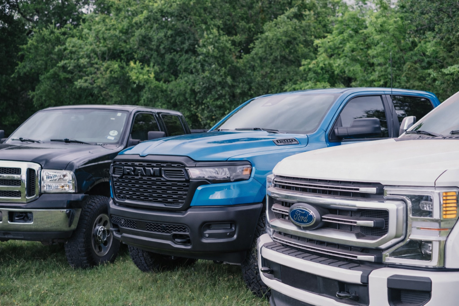 Three pickup trucks parked on a grassy area with green trees in the background, featuring a black truck on the left, a blue RAM truck in the middle, and a white Ford truck on the right.