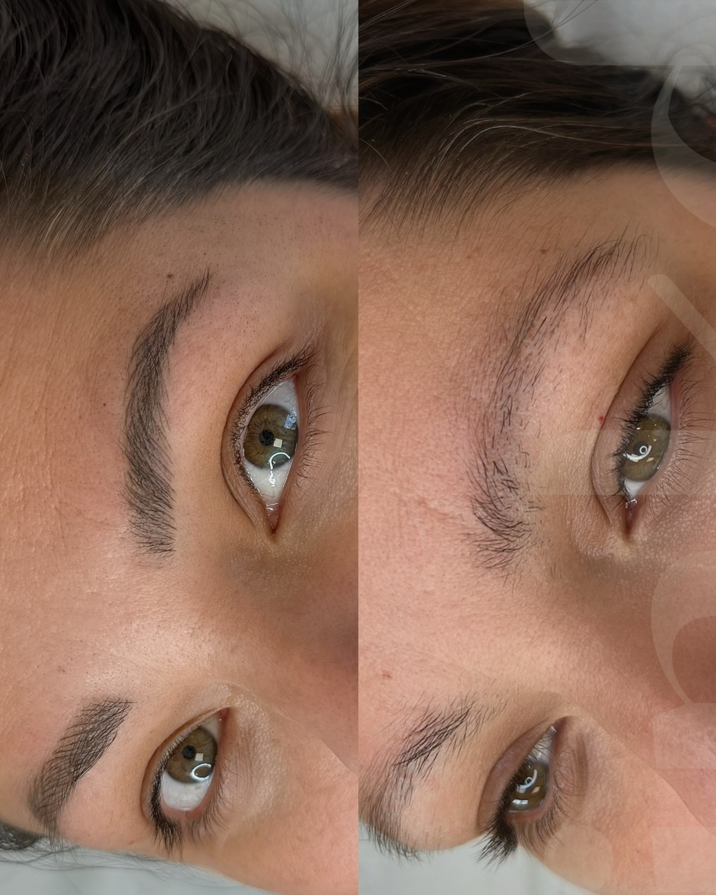 Studebt work.png.png