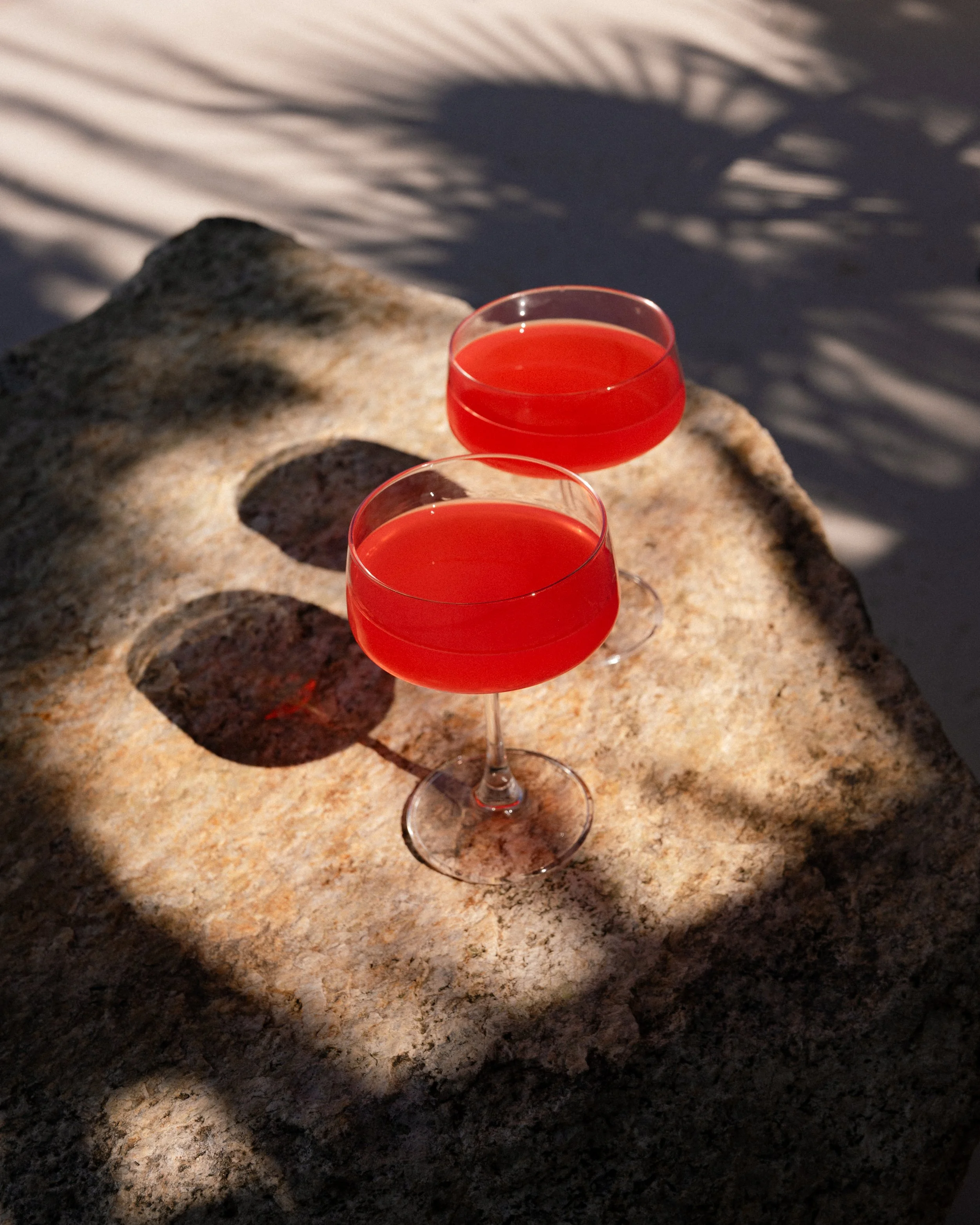 29PALMS_QuinnTucker_3543.jpg