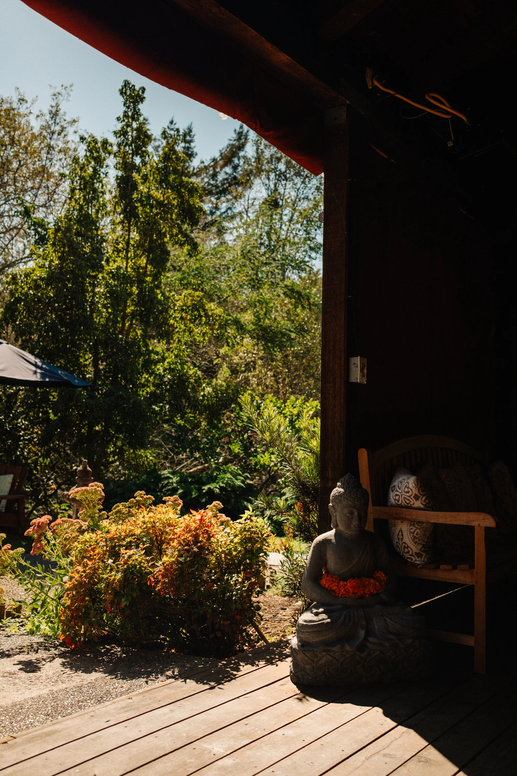 DSCF5435.jpg