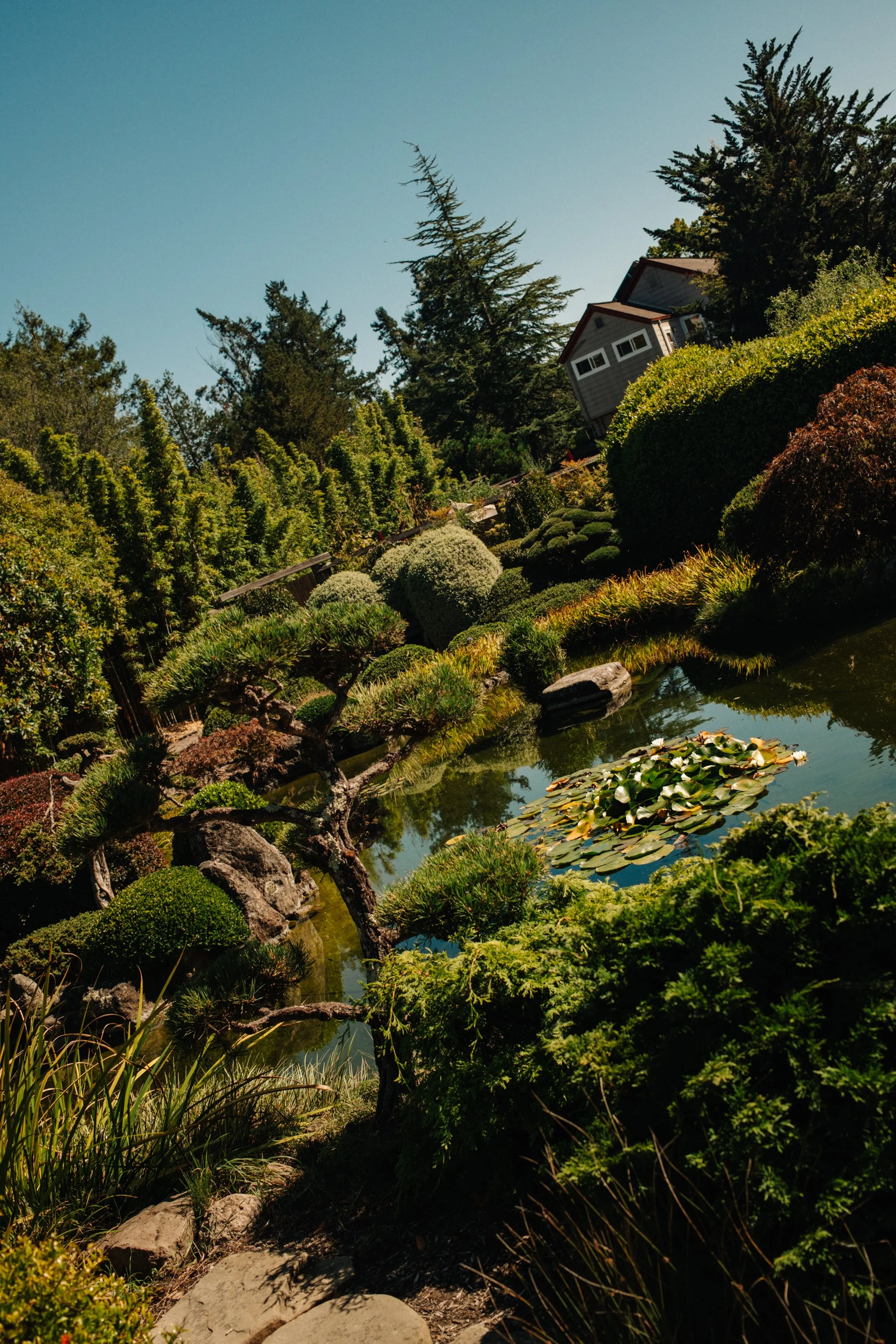DSCF5450.jpg