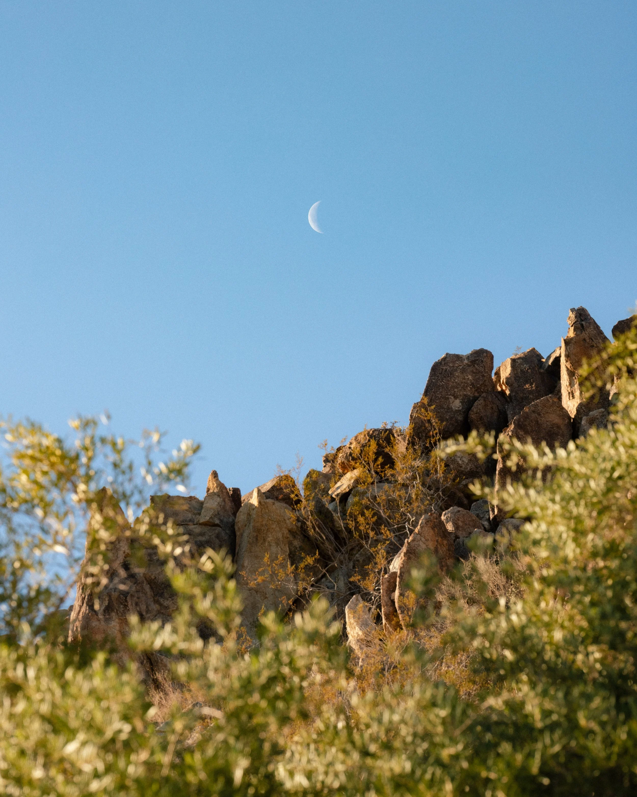 29PALMS_QuinnTucker_3143.jpg