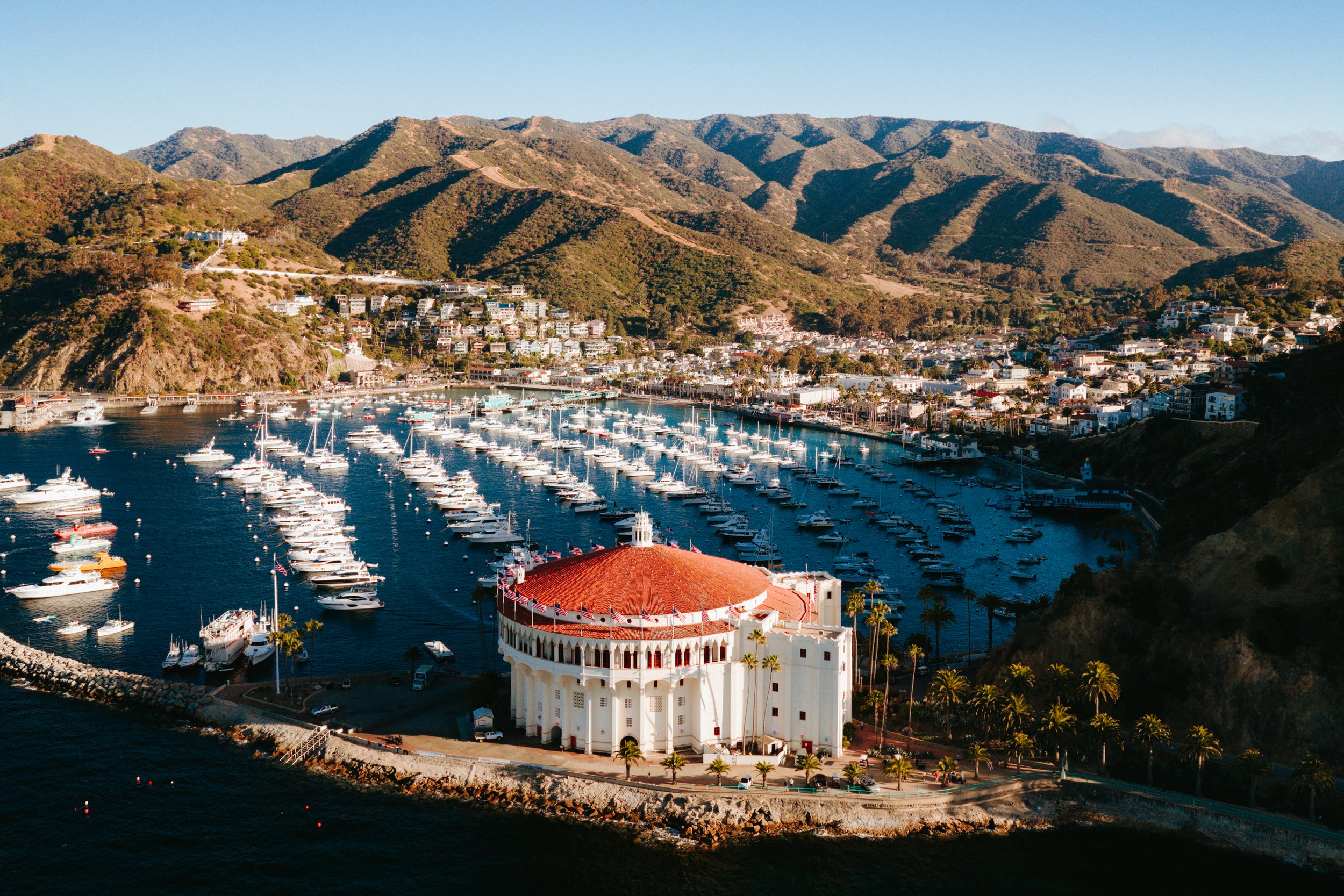 Drone: Chris Teal
