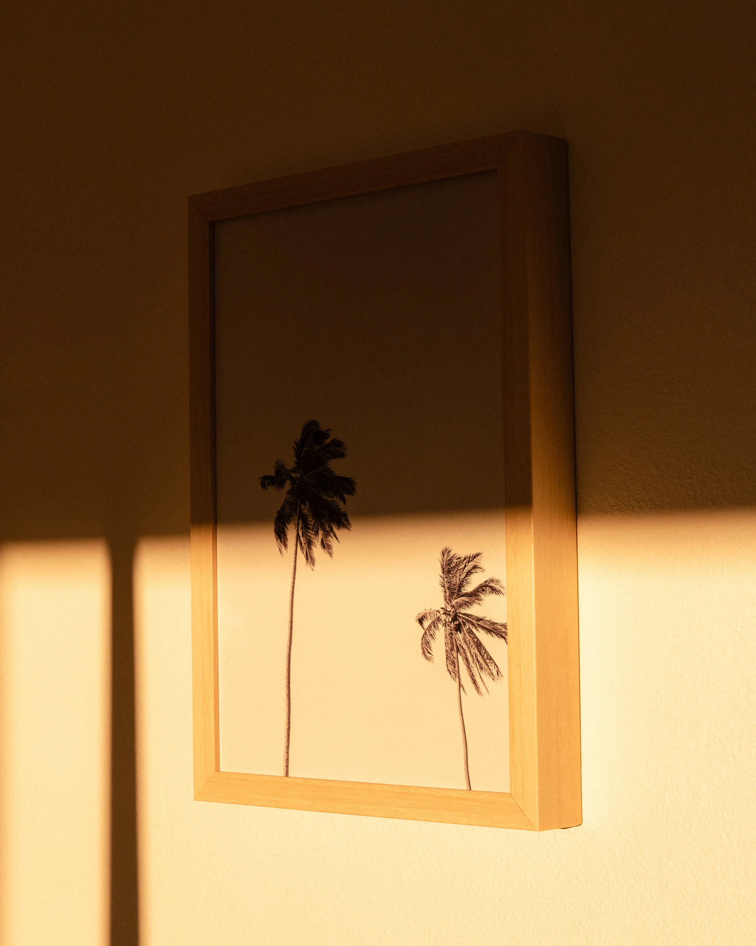 29PALMS_QuinnTucker_3094.jpg