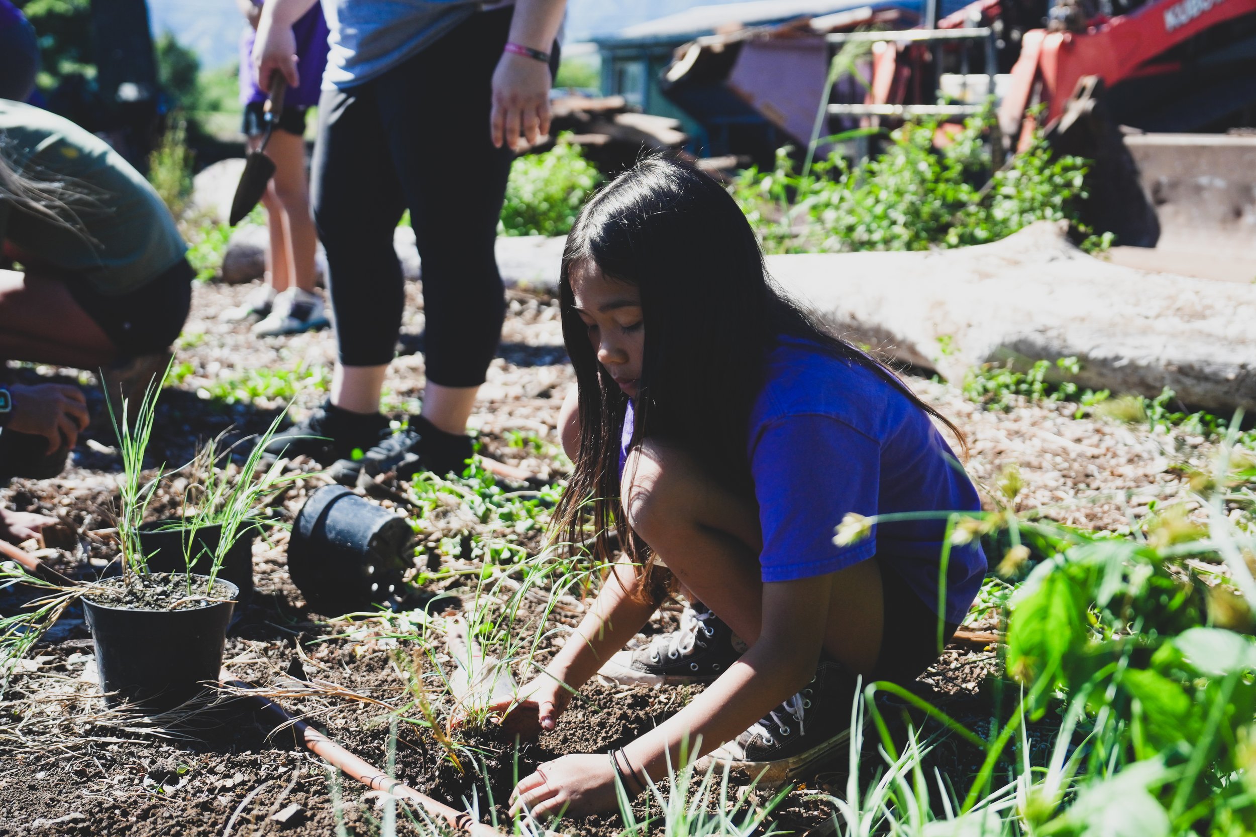 Kokua Foundation-5.jpg
