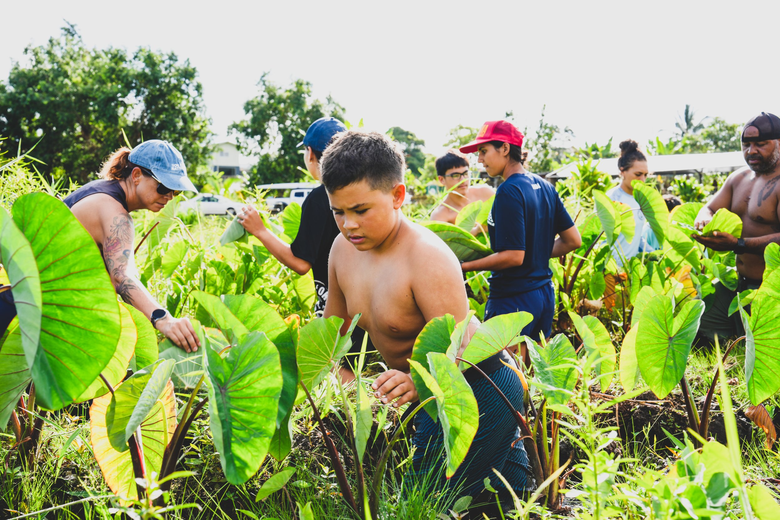 Kaneohe Cultural Foundation-10.jpg