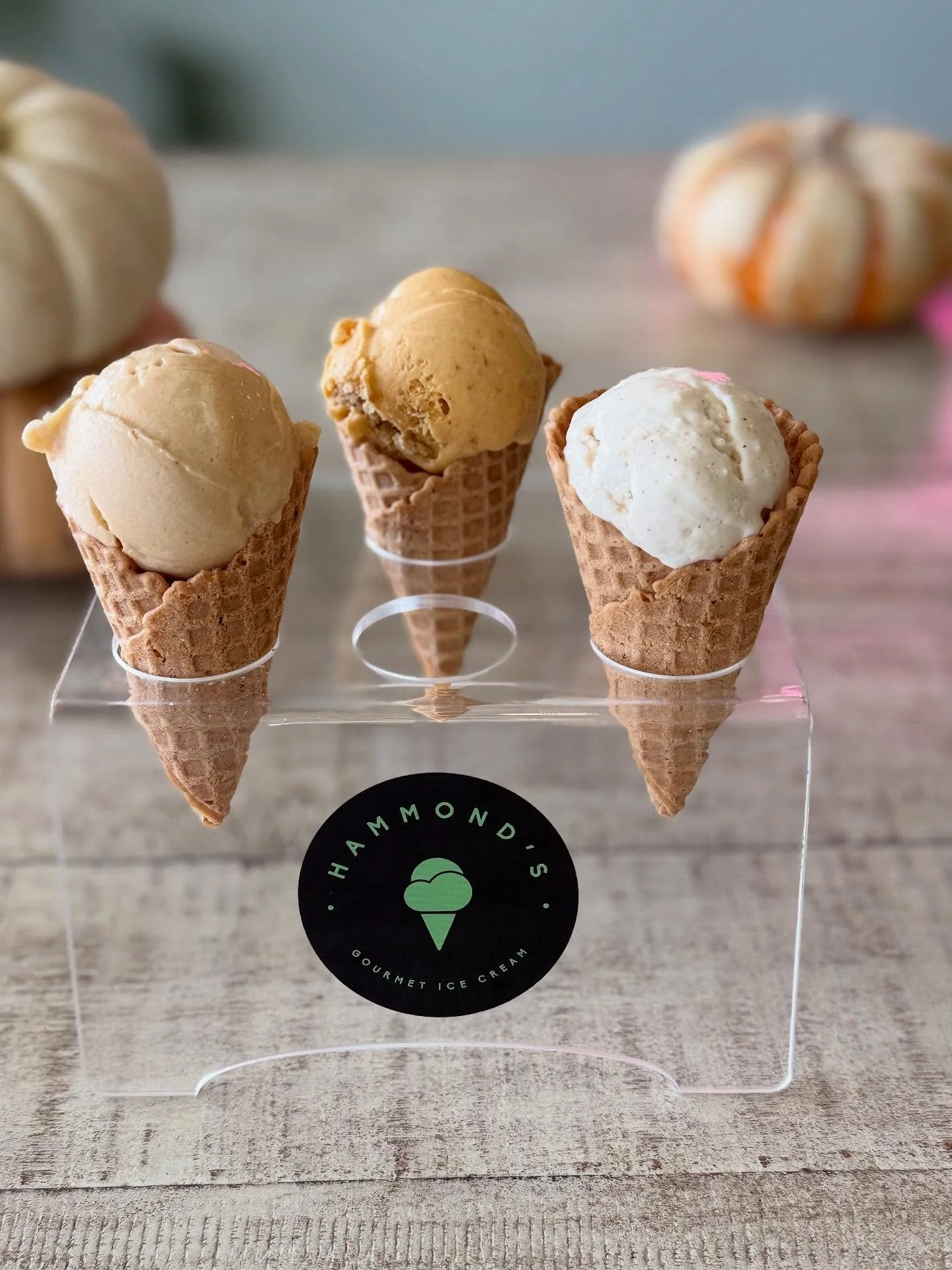 Falls flavors are in full swing! 🍂🍦
#Pumpkincheesecake 🎃 🍰
#Vegan #sweetyammarshmallowswirl 🍠 ☁️ 🌱
#dutchapplepie 🍎 🥧