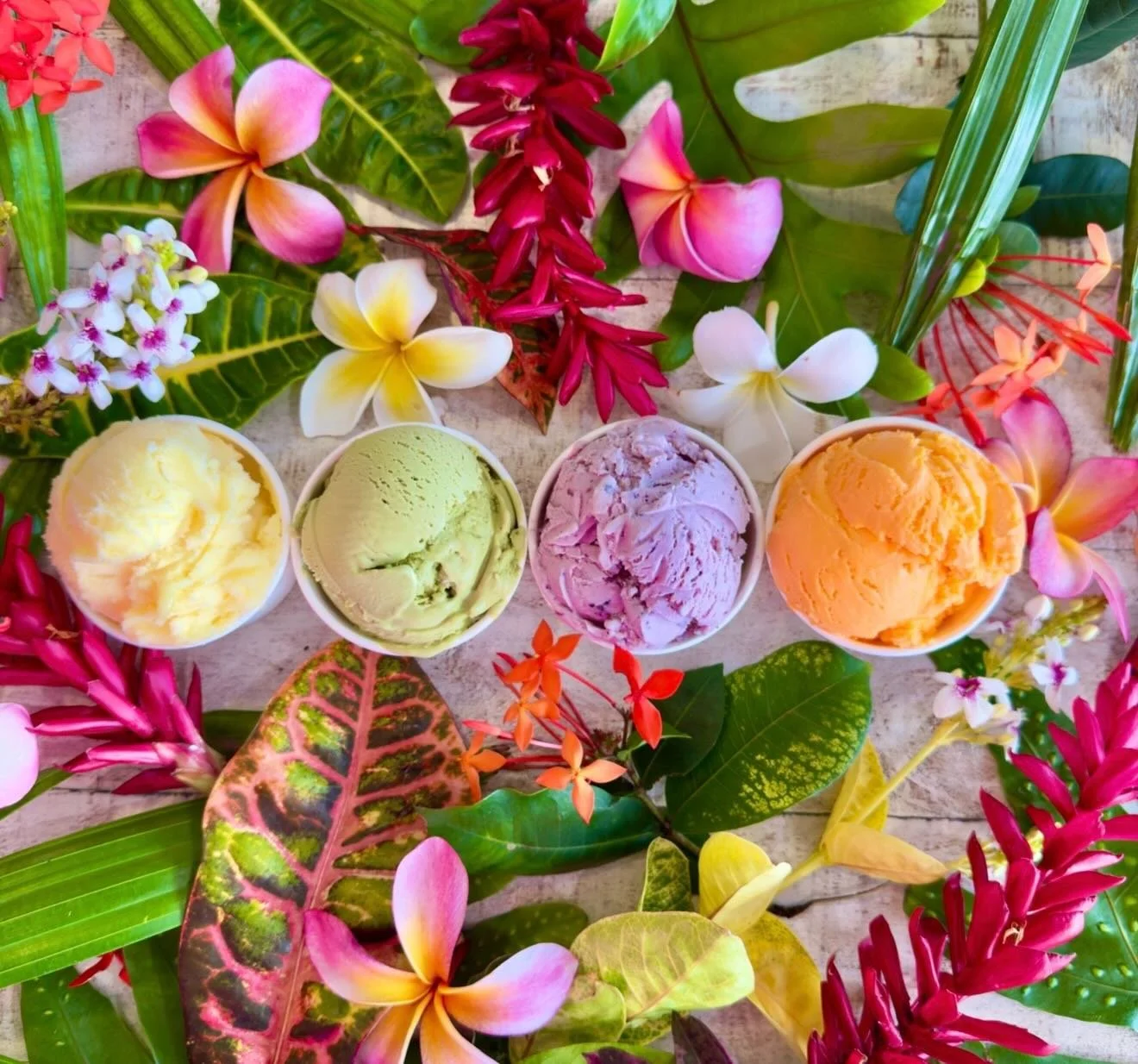 Happy Mother&rsquo;s Day! Show Mom some extra love today and treat her to some ice cream 💕🍦

 
🍦gourmet super premium ice cream
🍦handmade in small batches at our shop 
🍦family owned and operated 
🍦open daily in Honolulu from 12pm-9pm

#hammonds