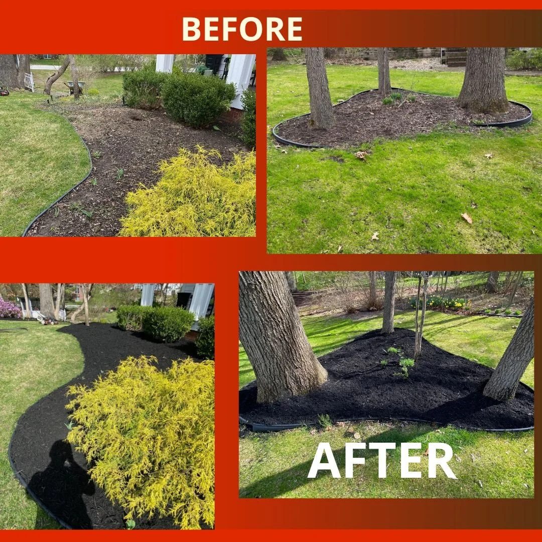 55555555555555fter Service Garden Transformation Before After Instagram Post (8).jpeg