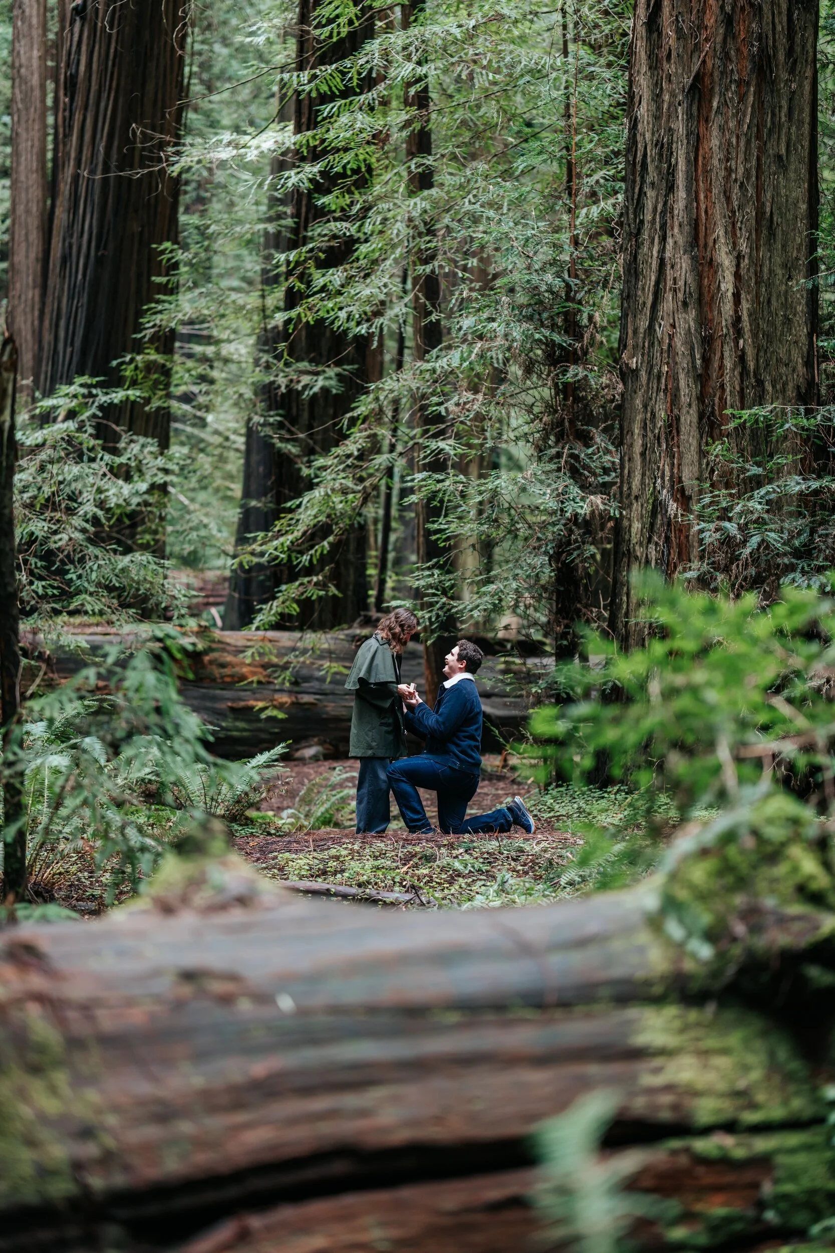 Surprise Proposal in the Redwoods of Founder's Grove in Humboldt County photographed by Tex Kelly