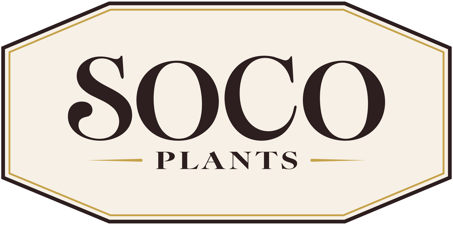 SoCo Plants